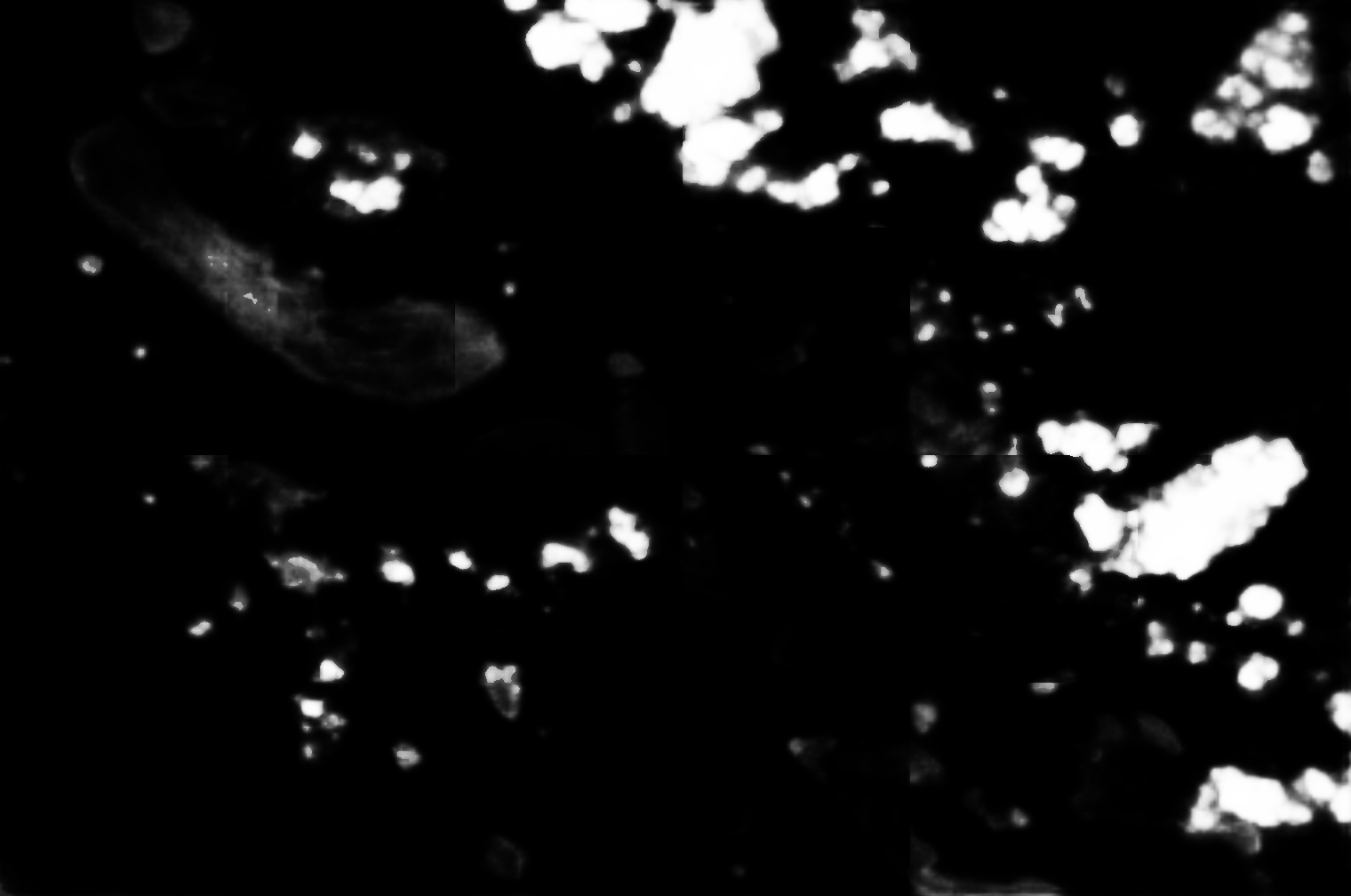 cloud mask image display 