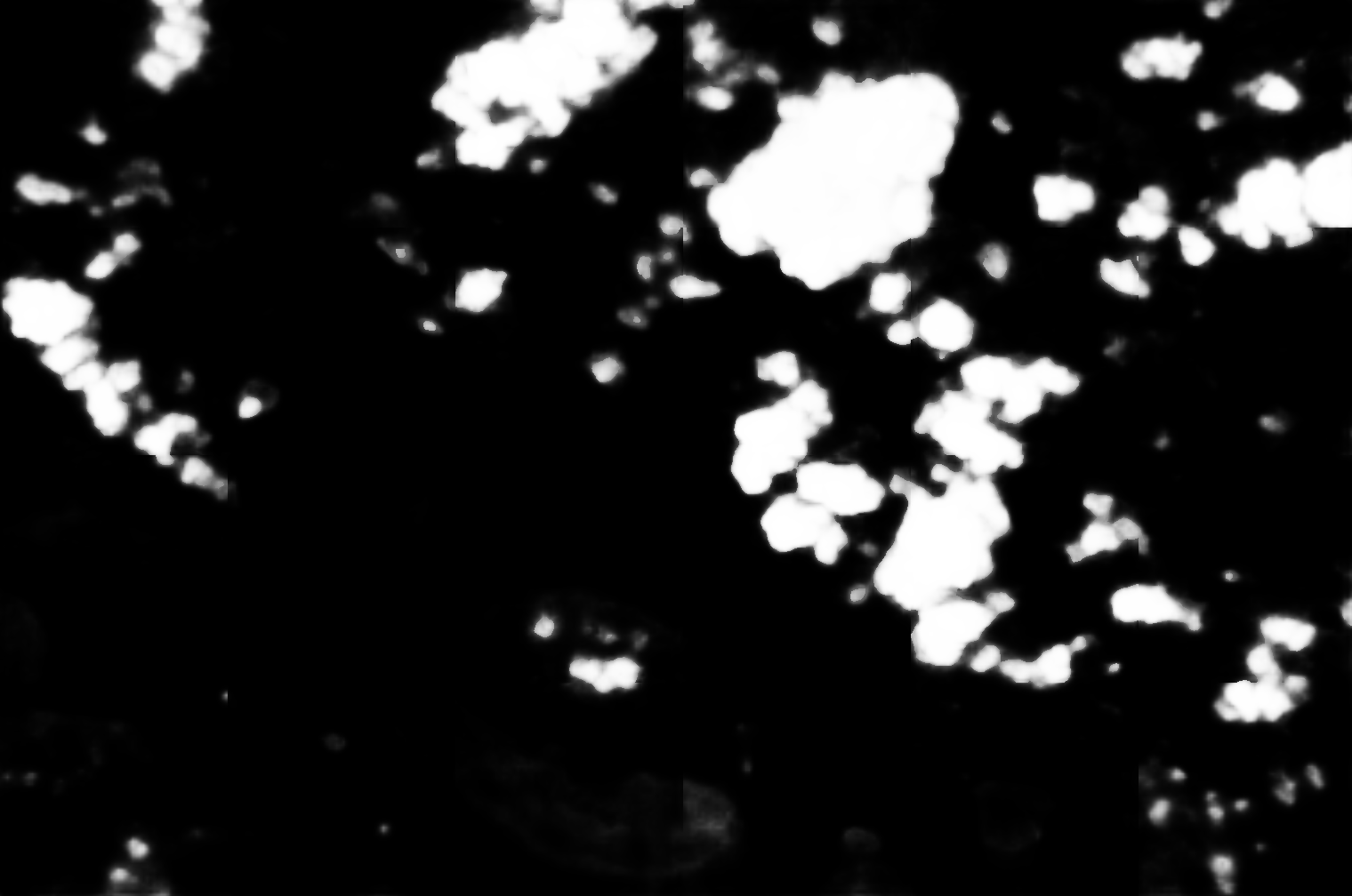 cloud mask image display 