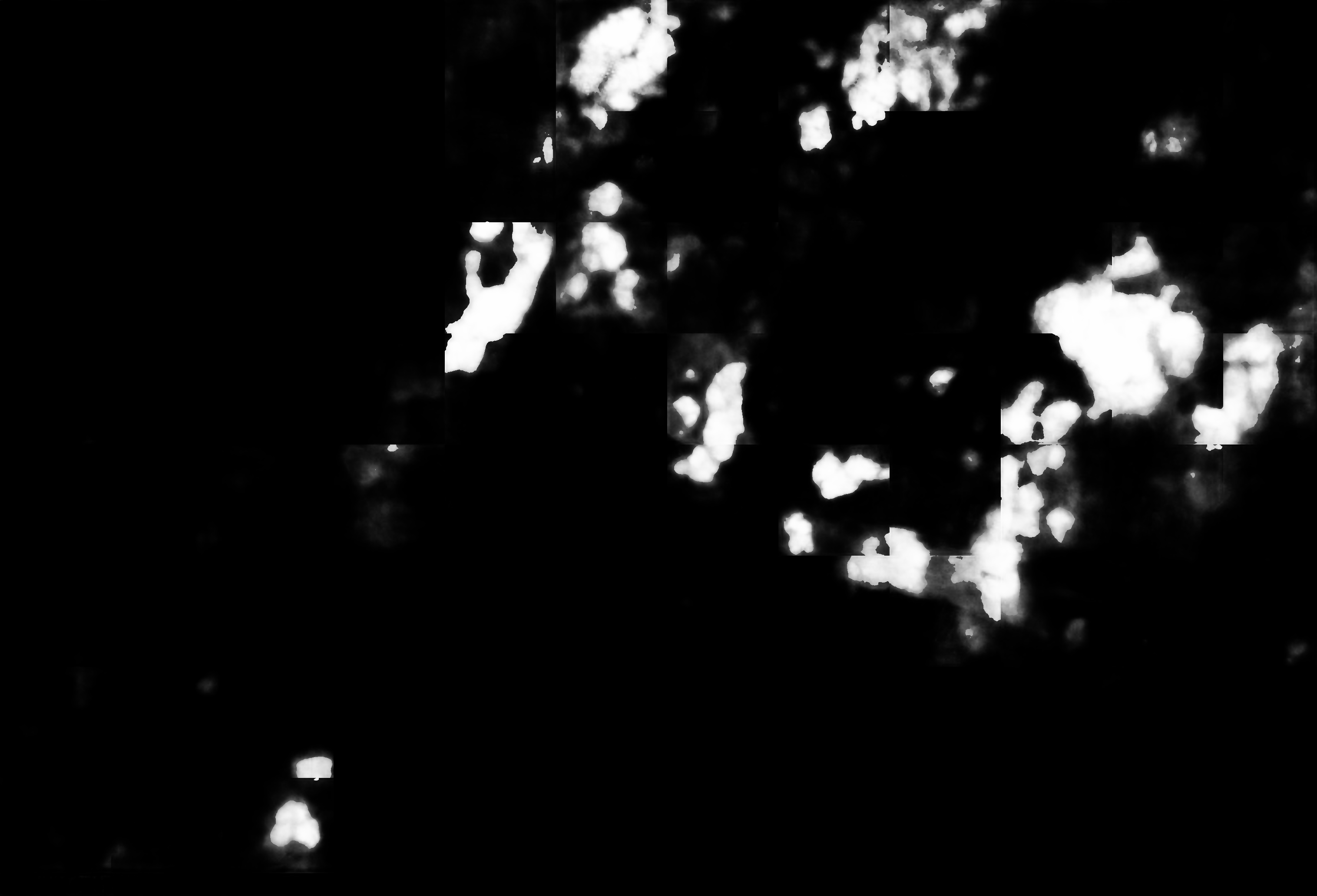 cloud mask image display 