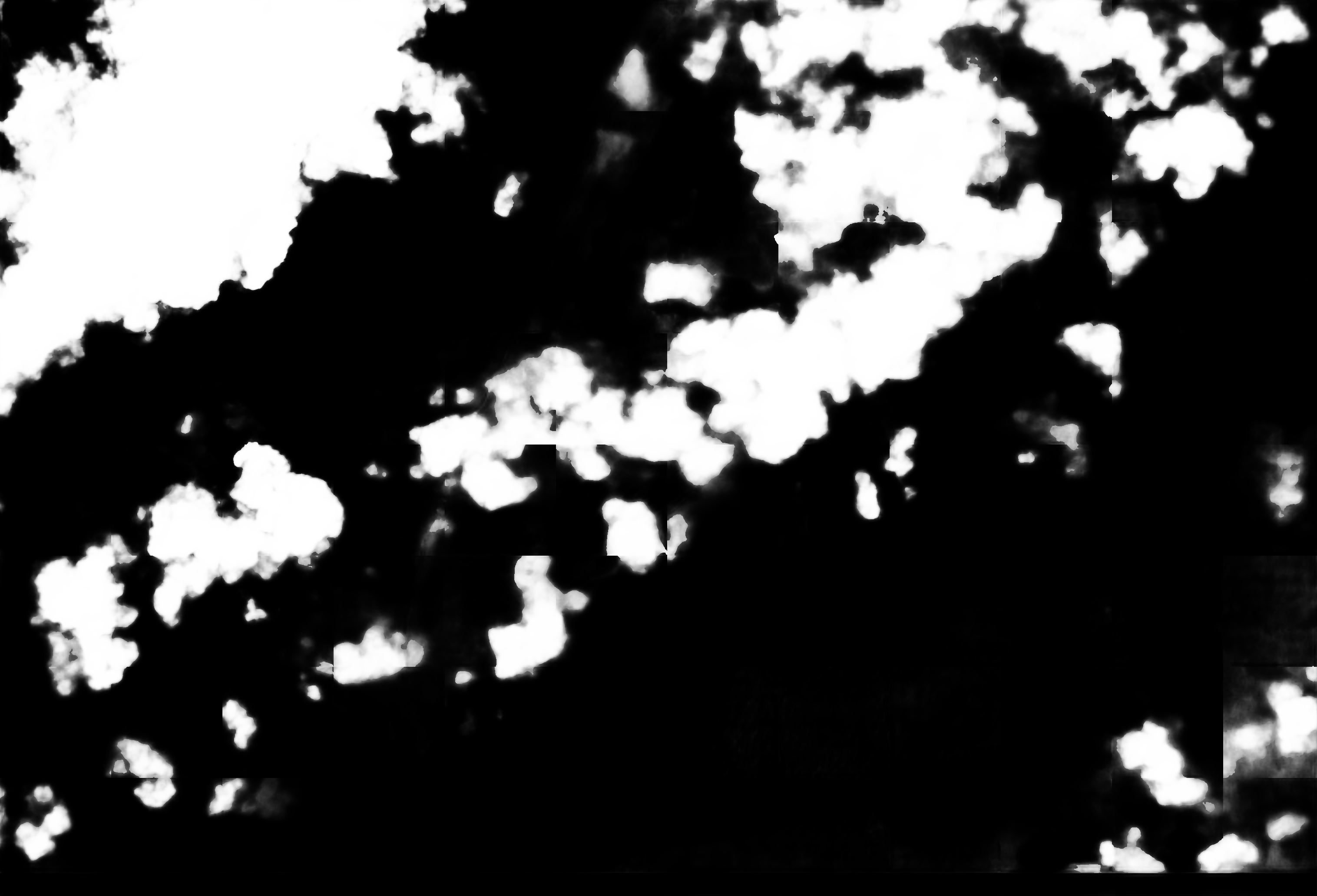 cloud mask image display 