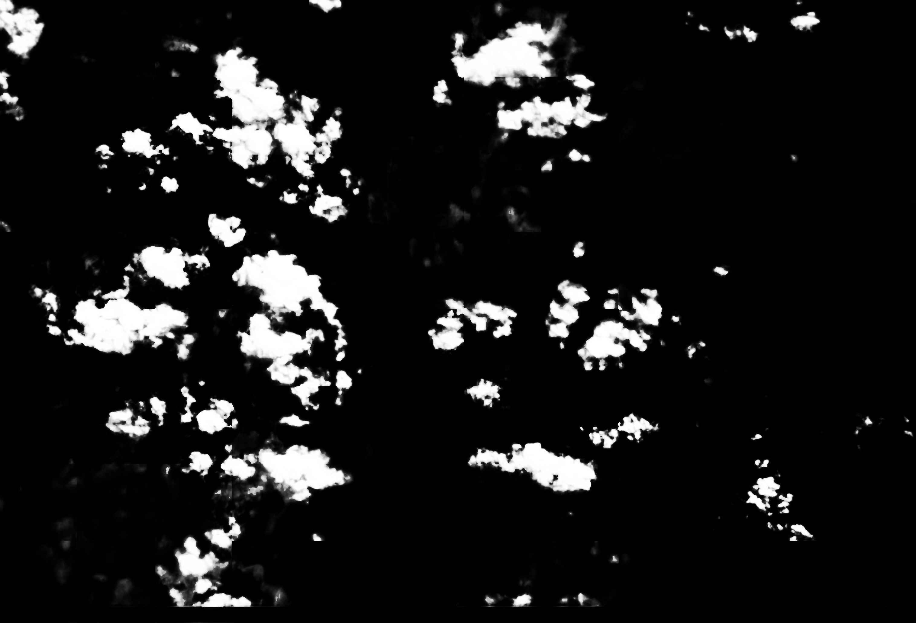 cloud mask image display 