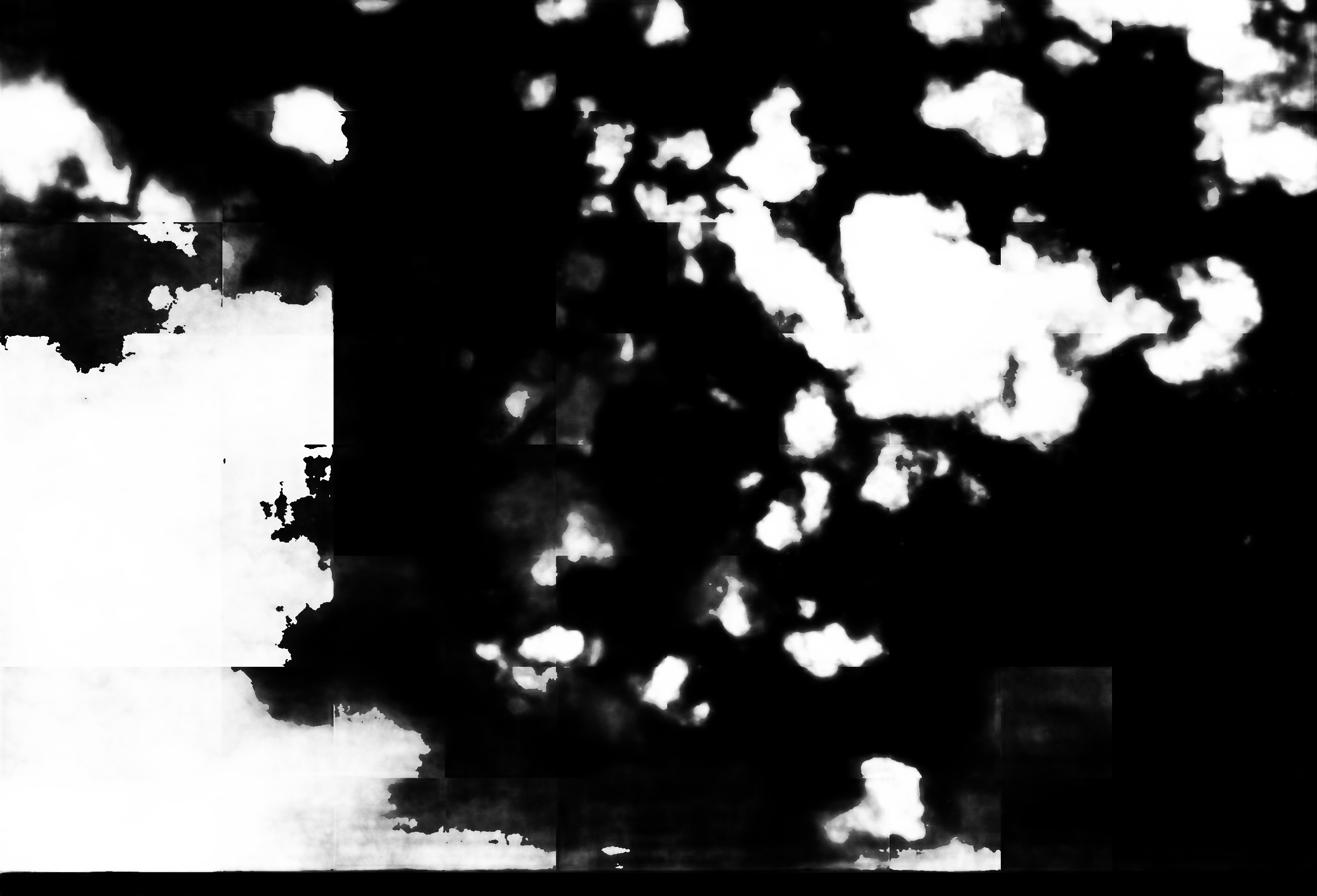 cloud mask image display 