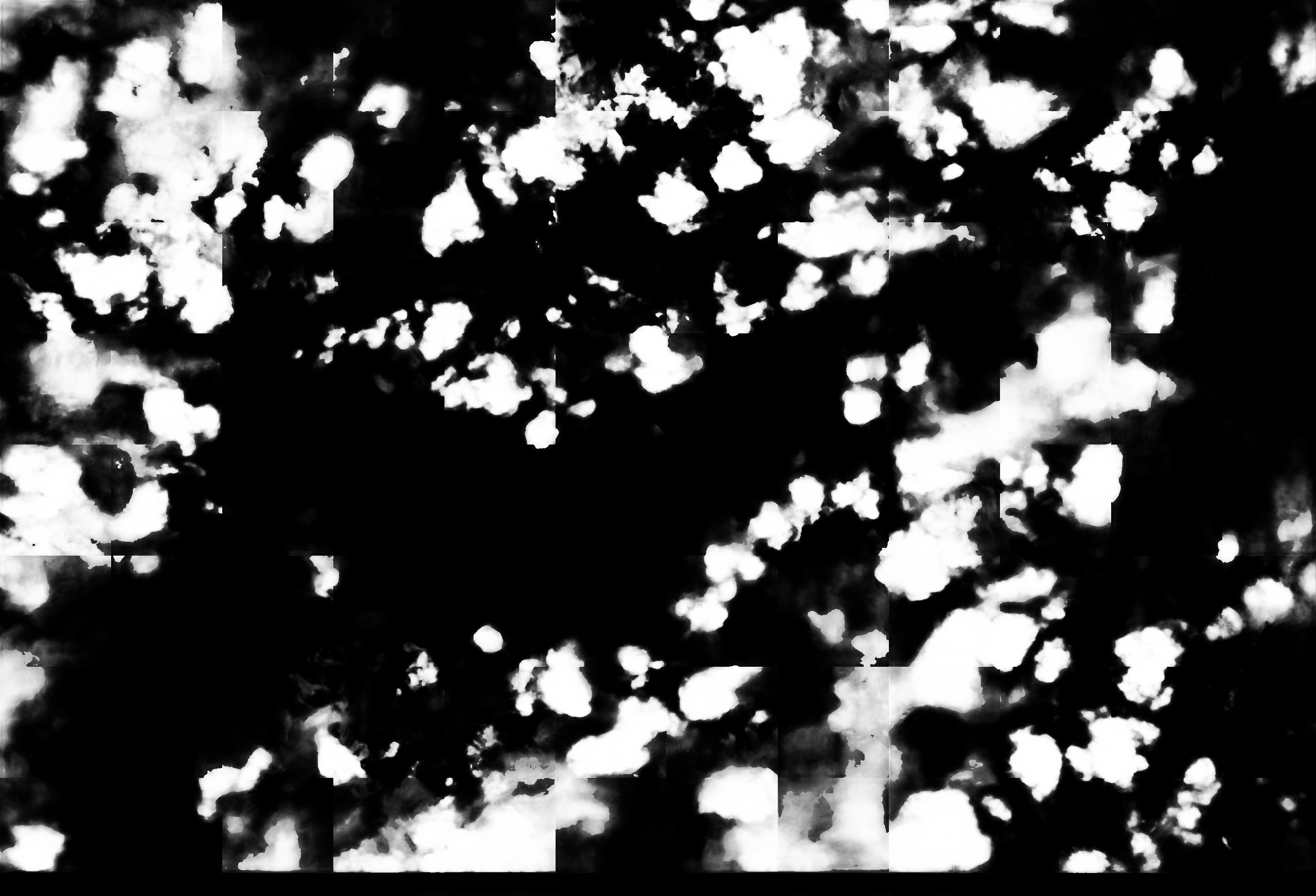 cloud mask image display 