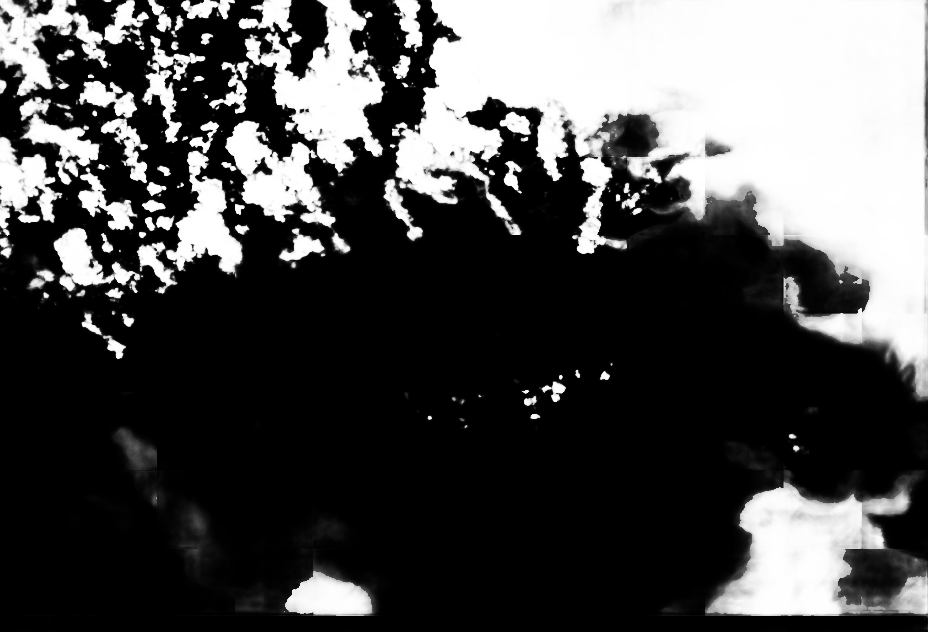 cloud mask image display 