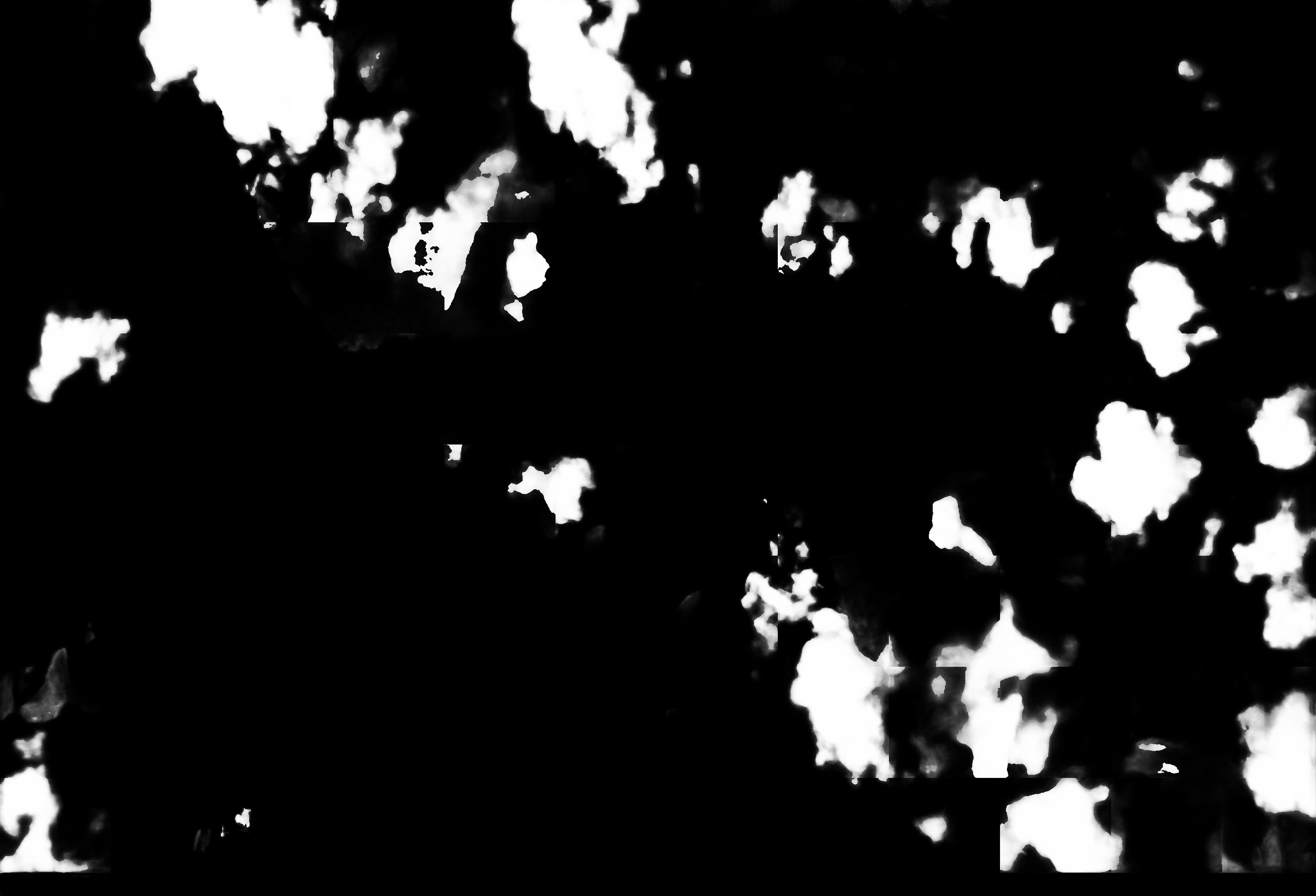 cloud mask image display 