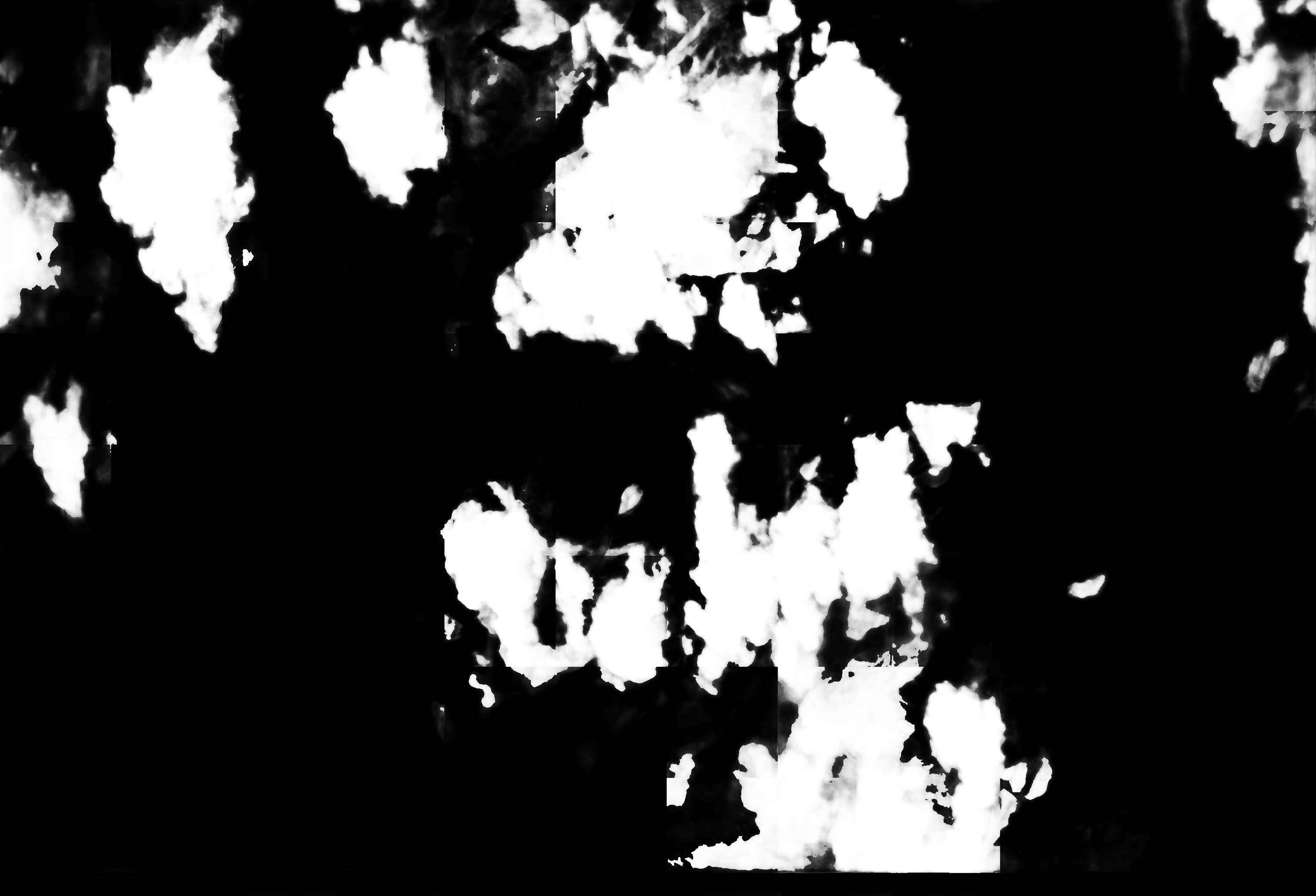 cloud mask image display 