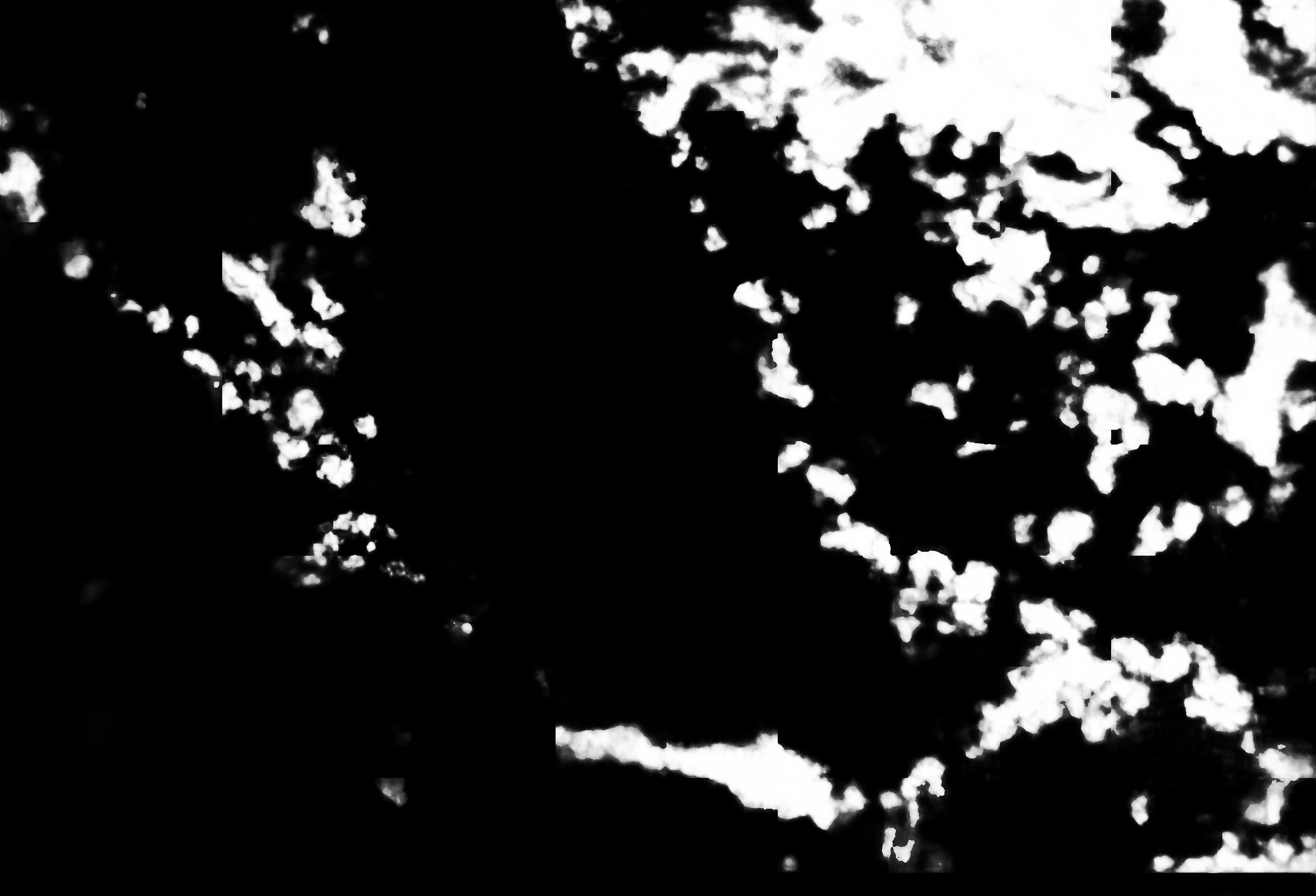 cloud mask image display 