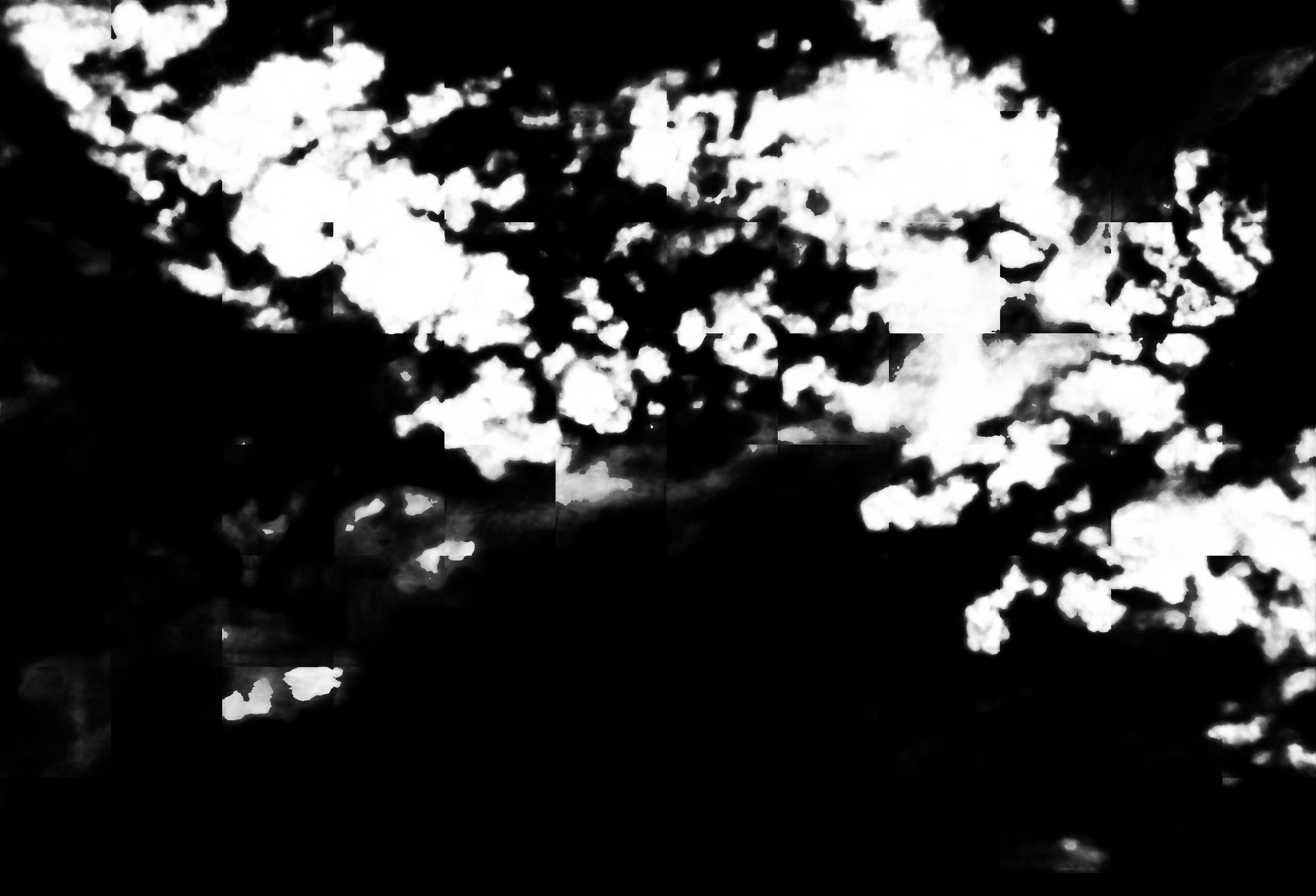 cloud mask image display 