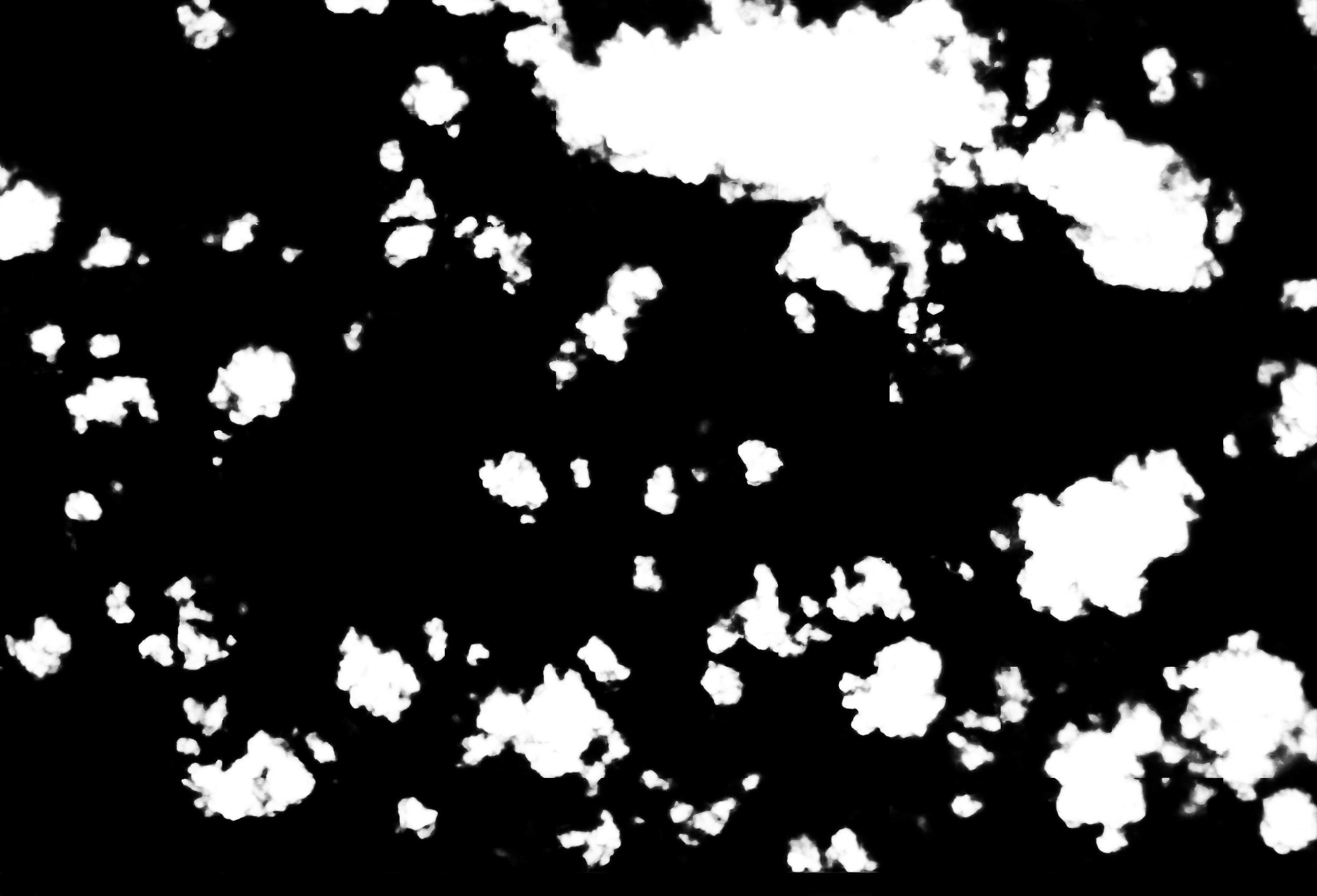 cloud mask image display 