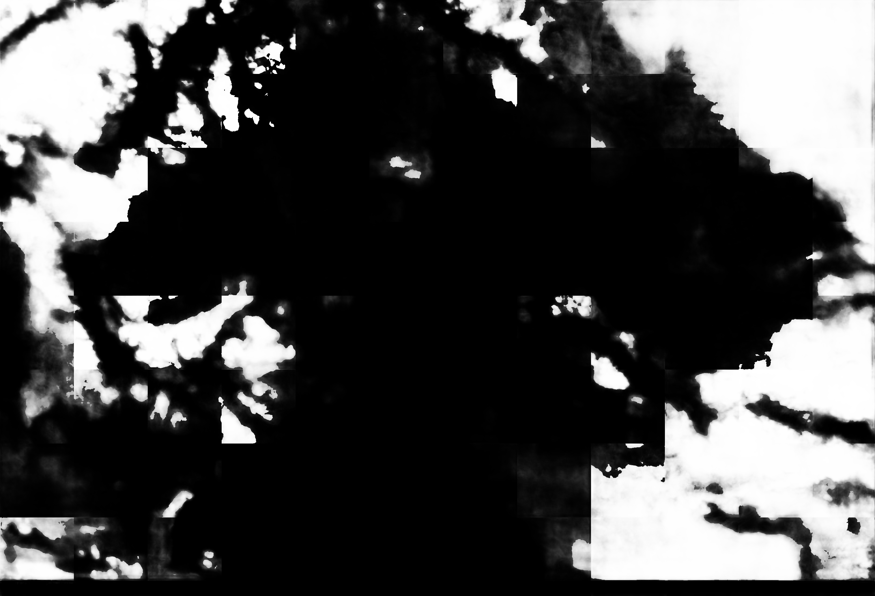 cloud mask image display 