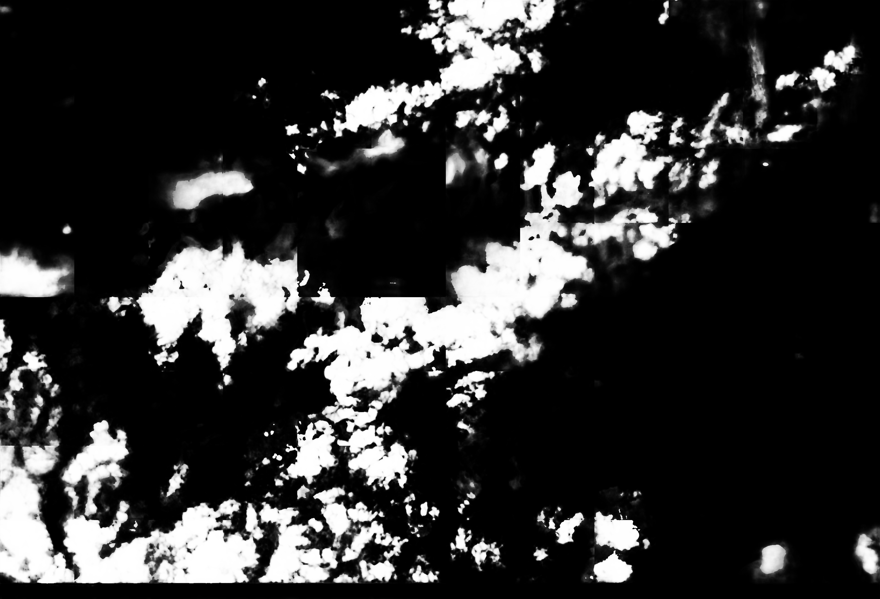 cloud mask image display 