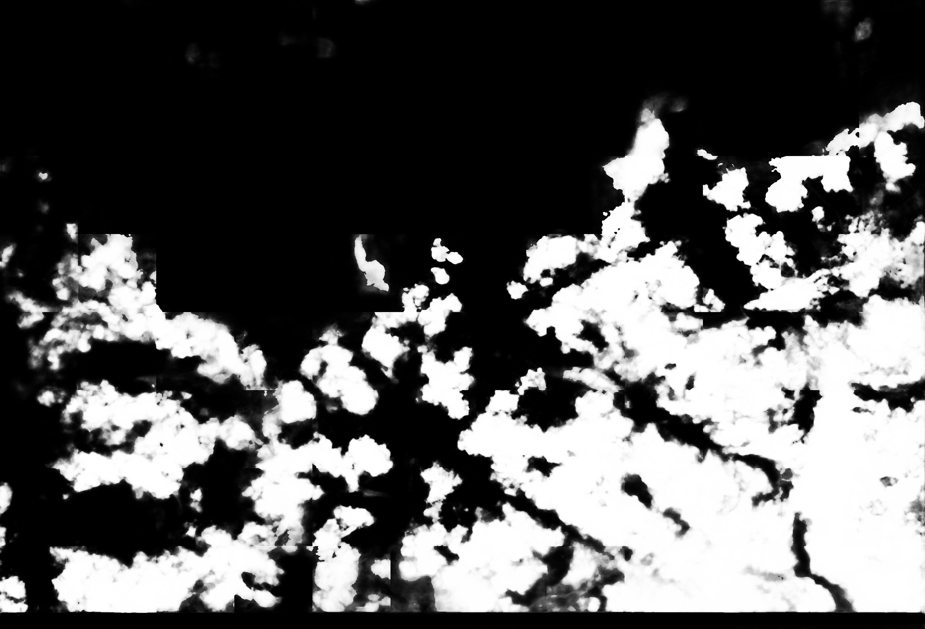 cloud mask image display 