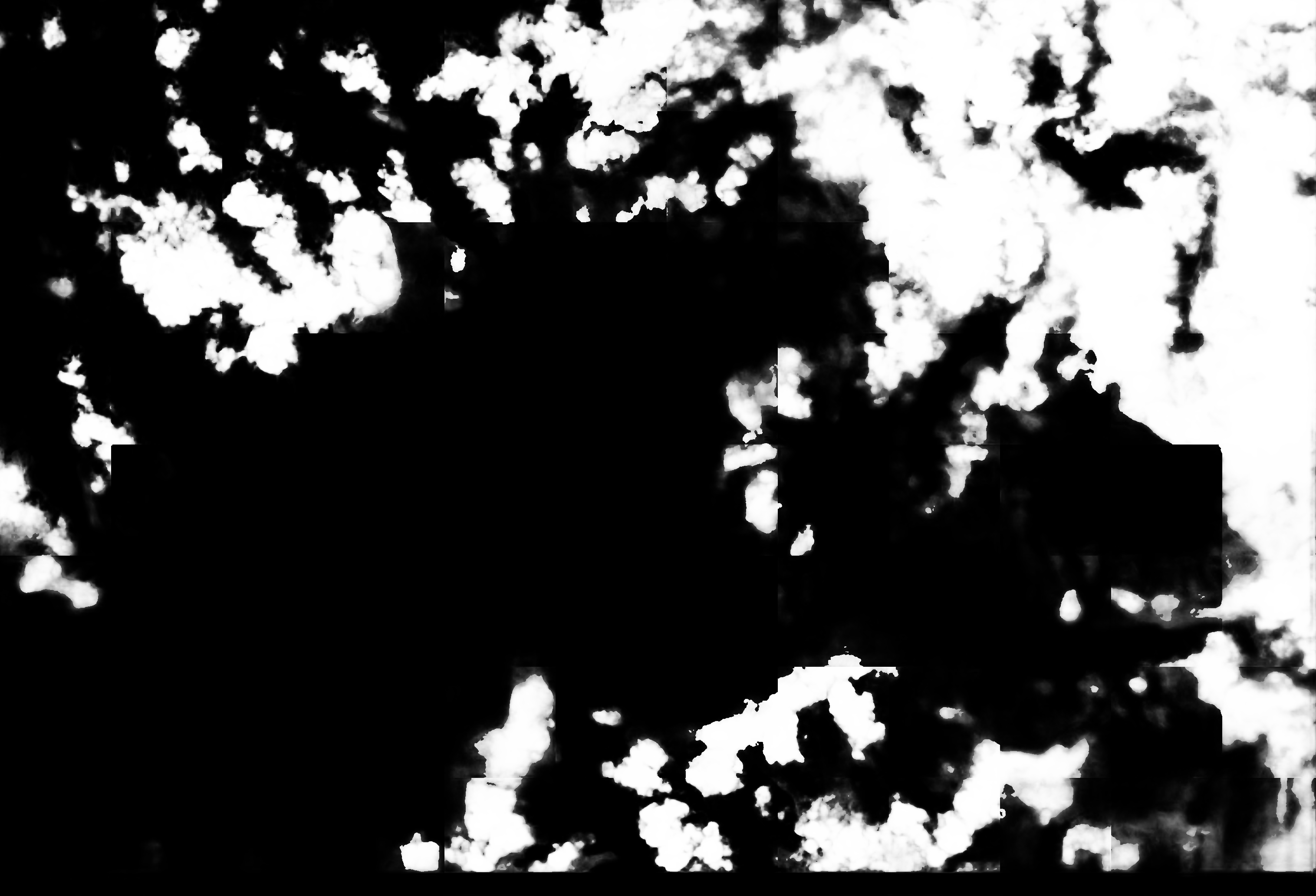 cloud mask image display 