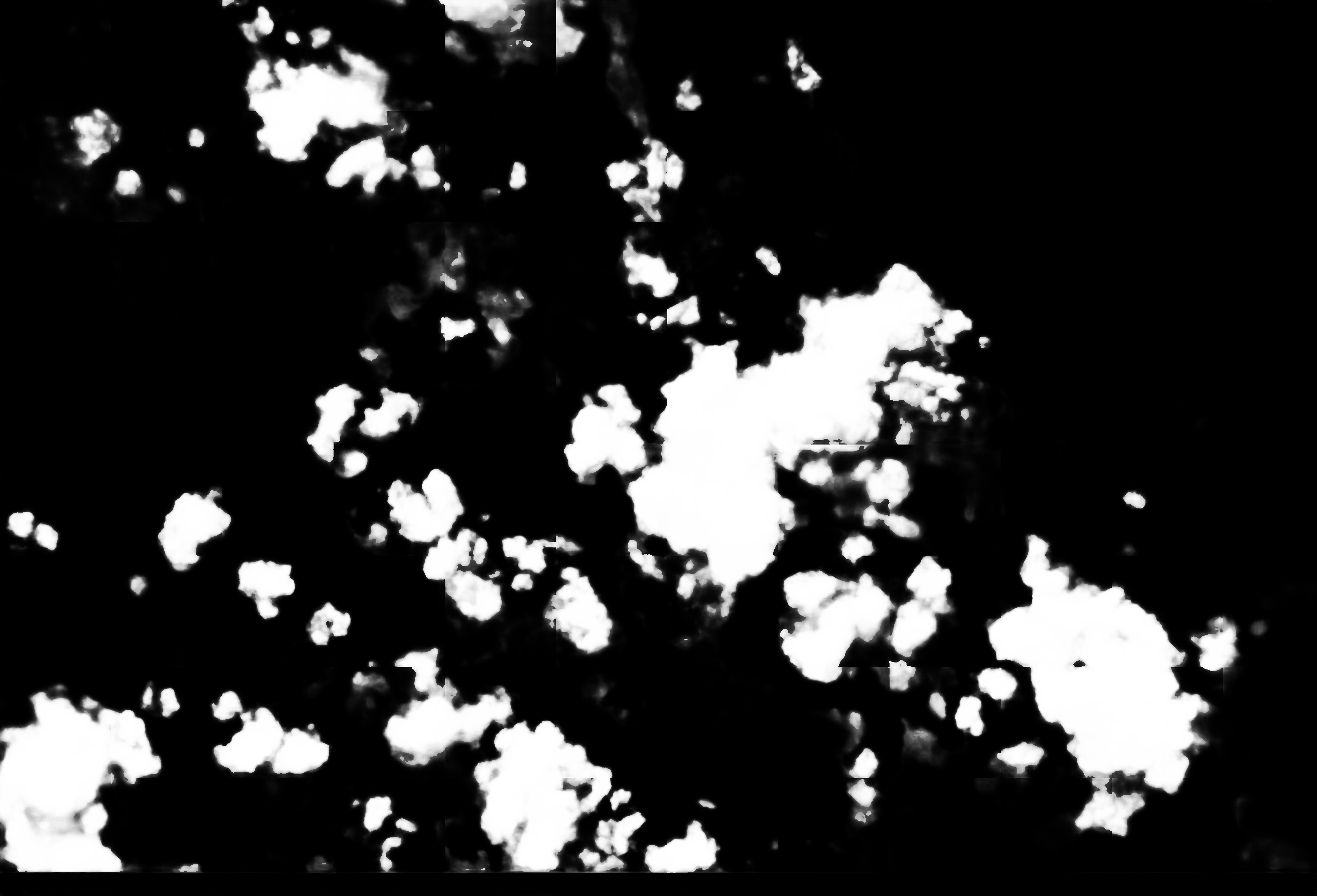 cloud mask image display 