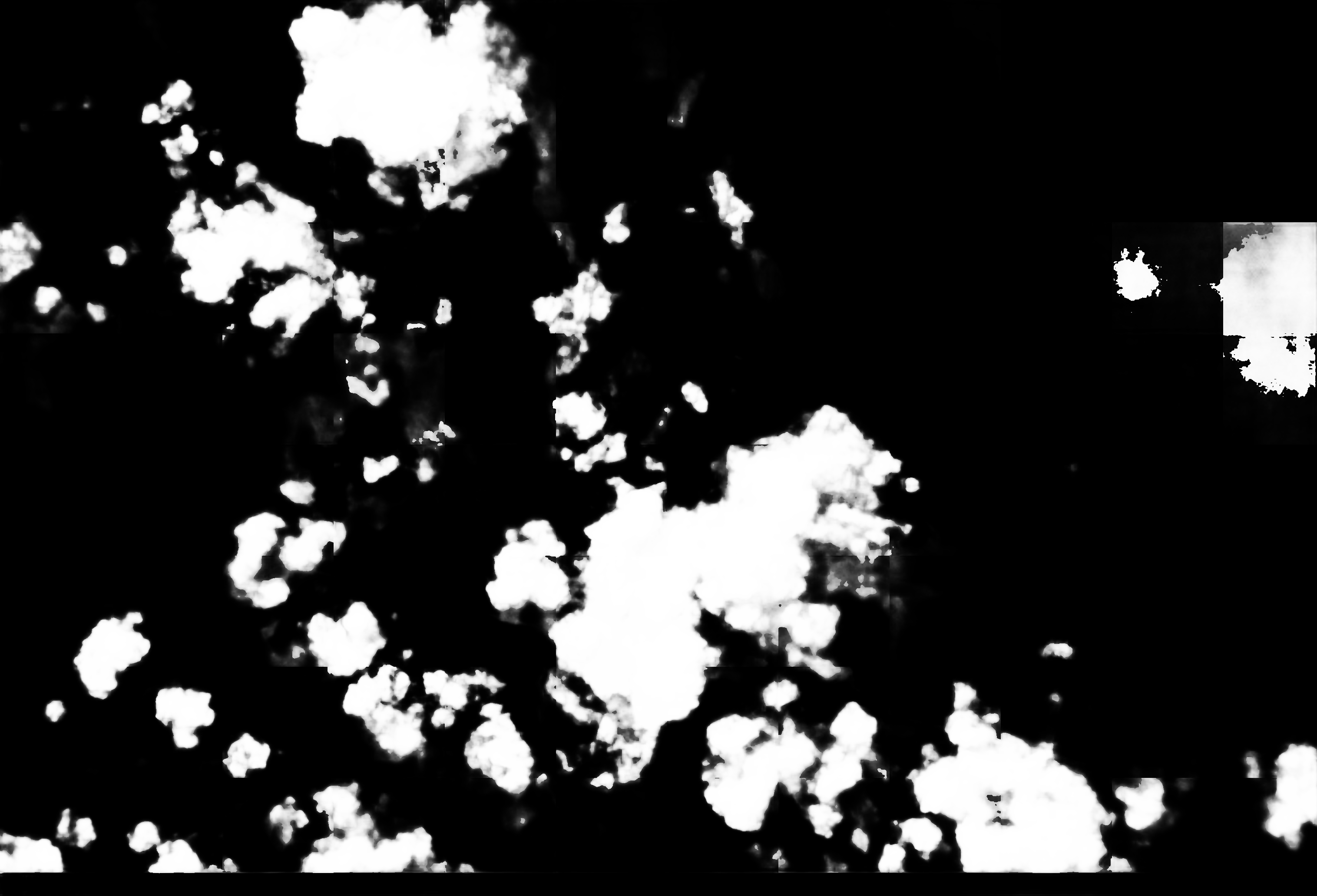 cloud mask image display 