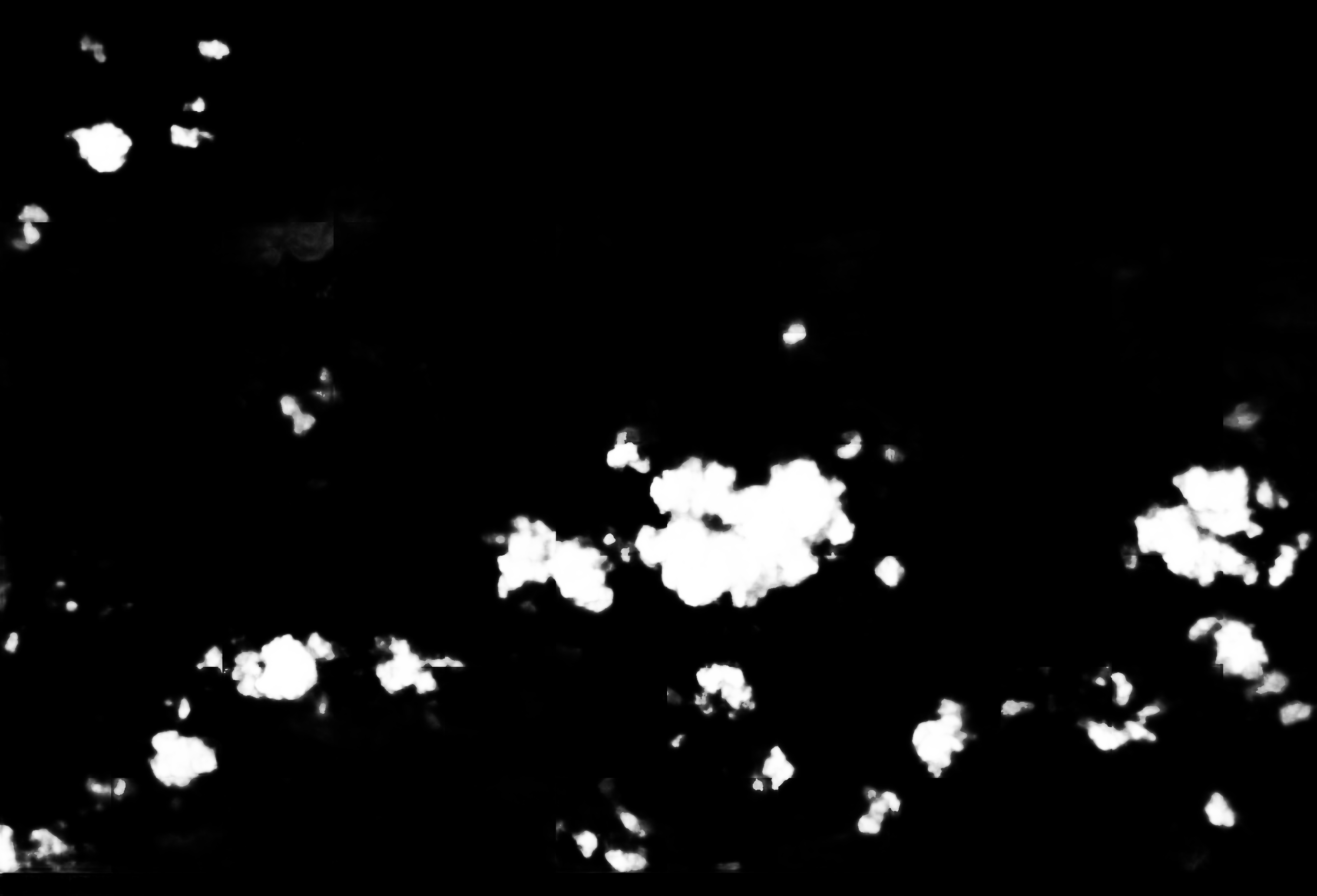 cloud mask image display 