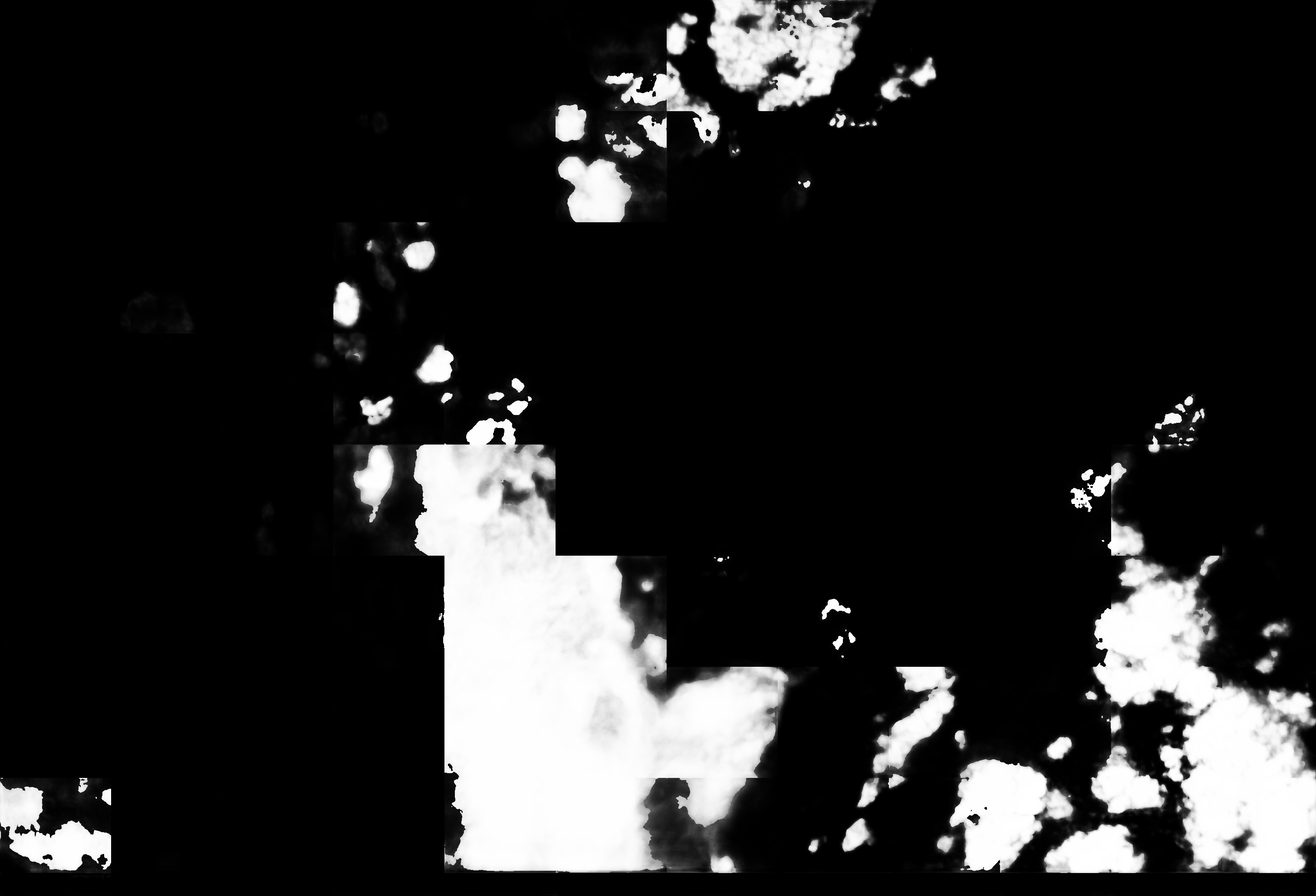 cloud mask image display 