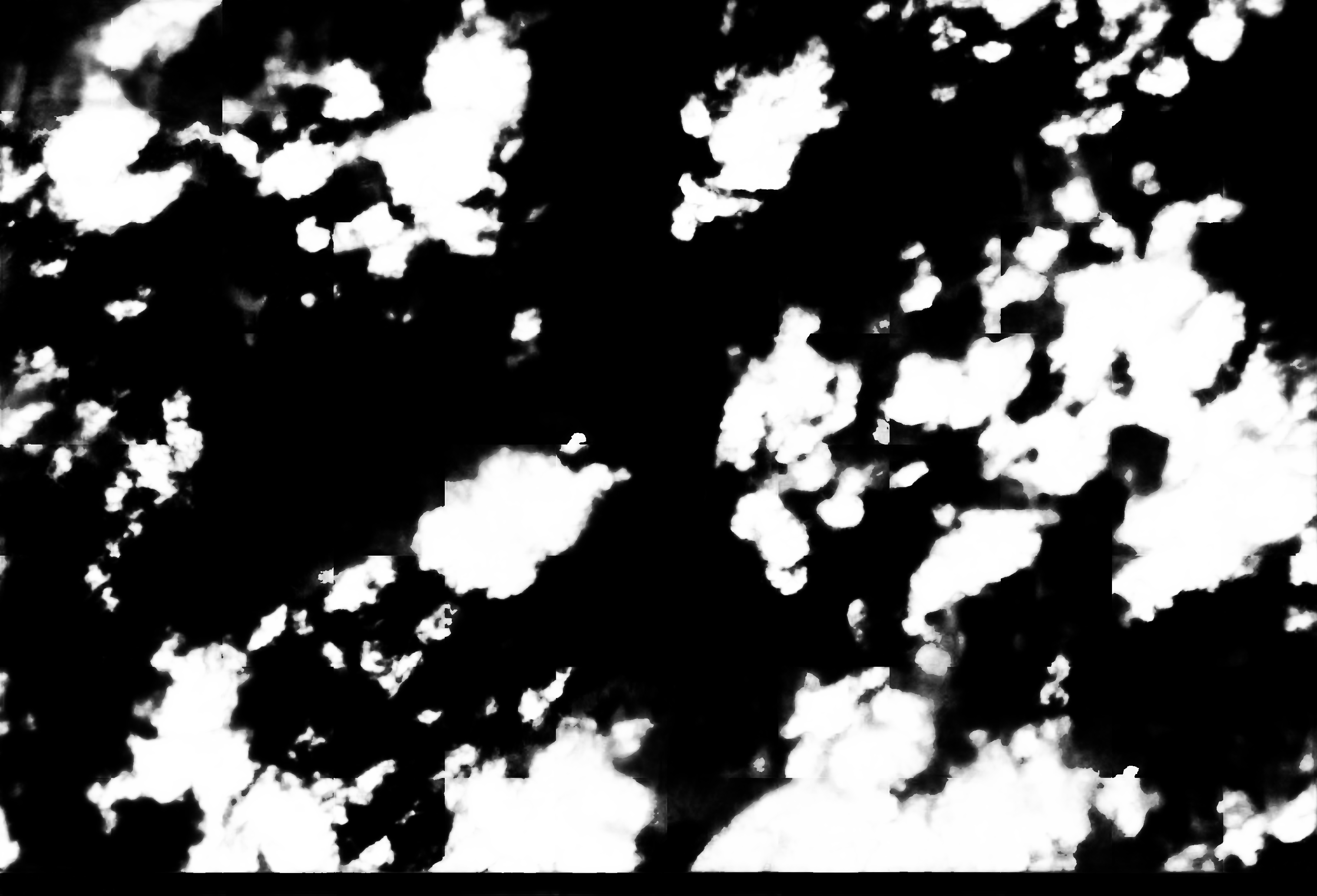 cloud mask image display 