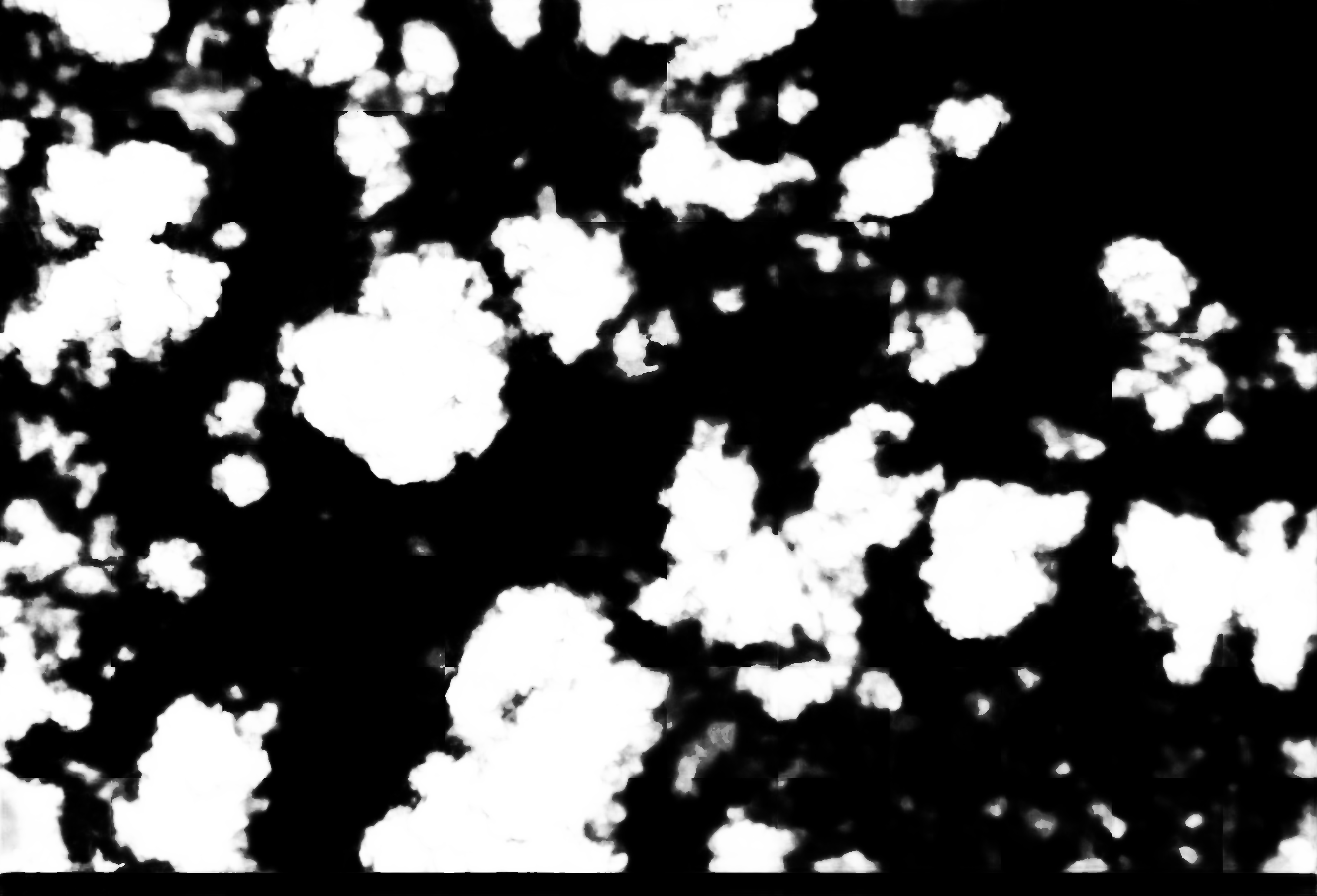 cloud mask image display 