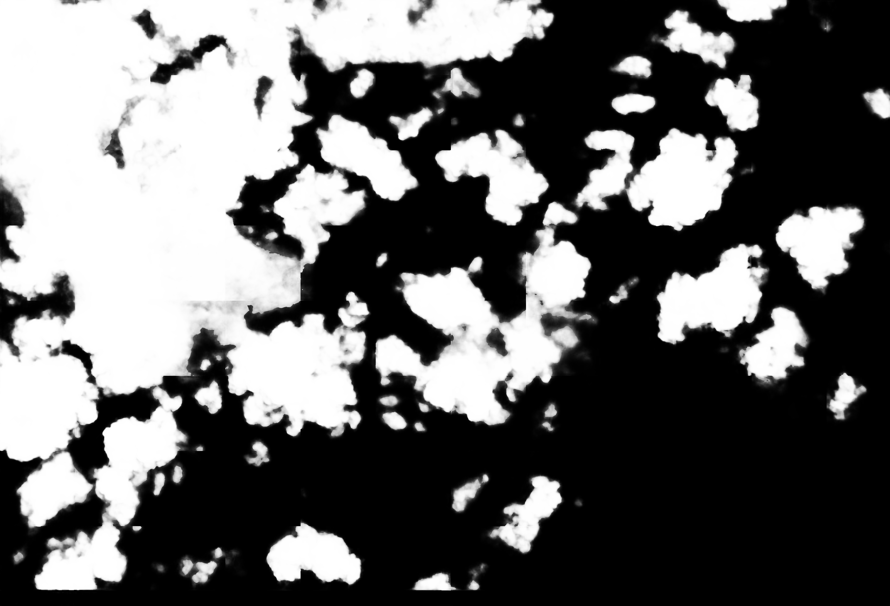 cloud mask image display 