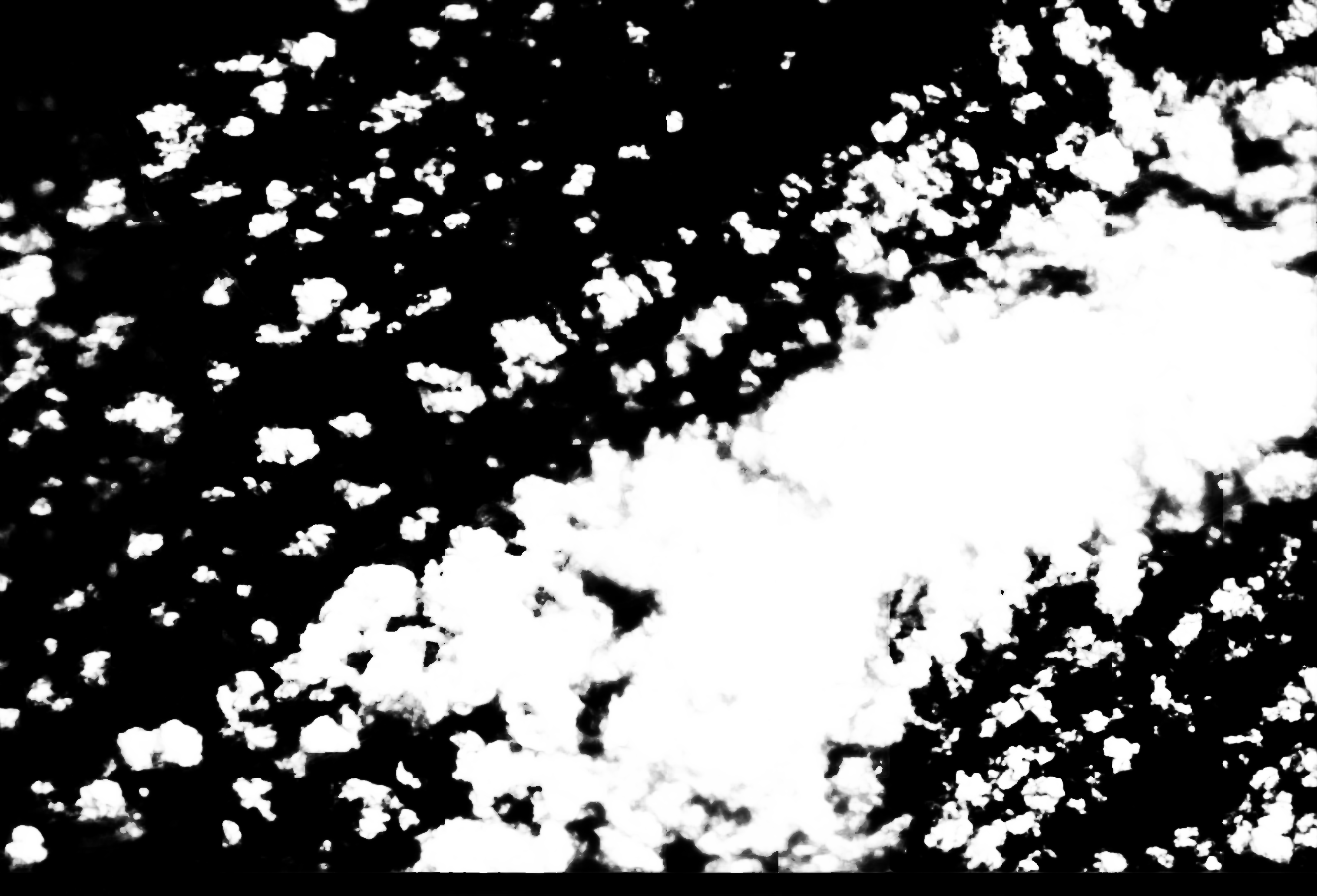 cloud mask image display 