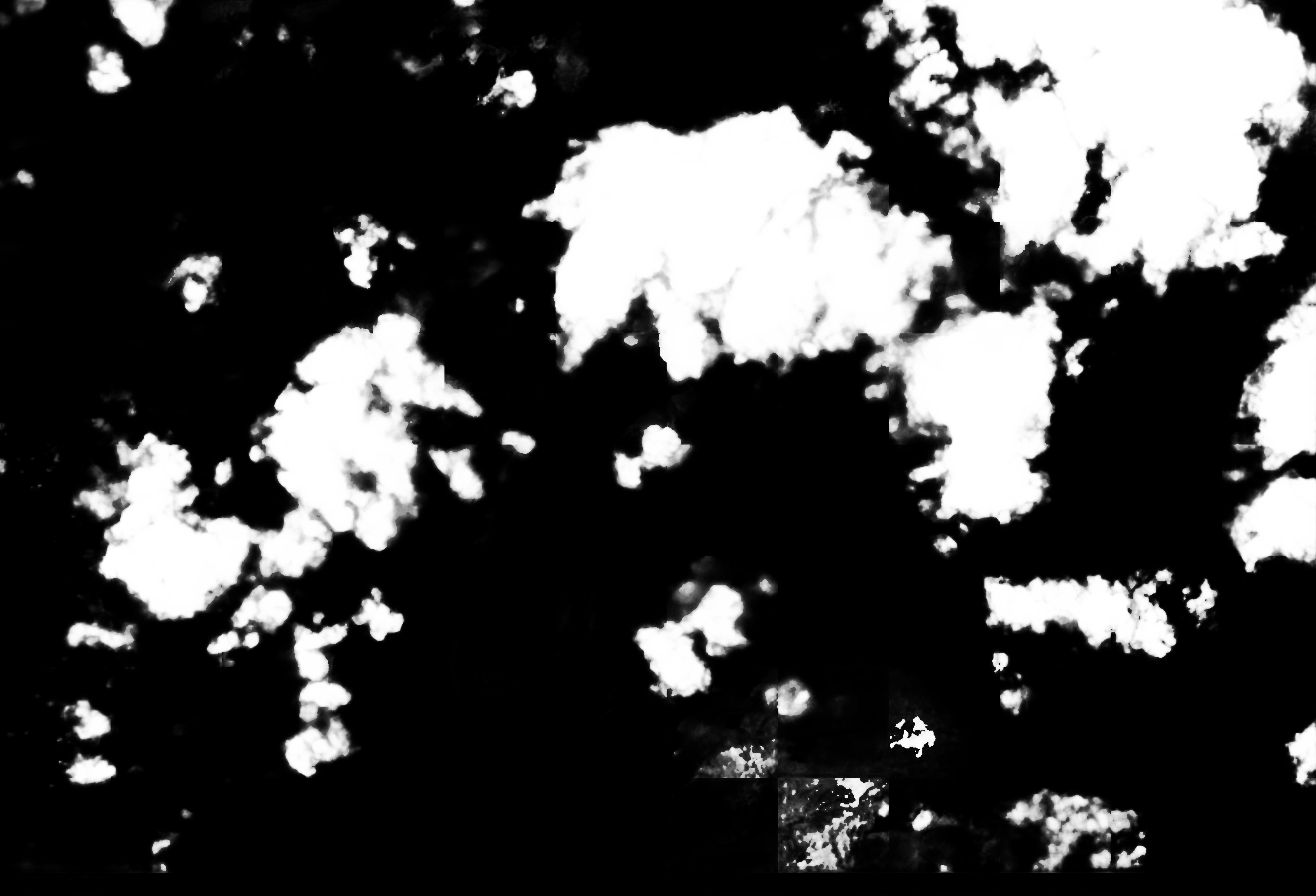 cloud mask image display 