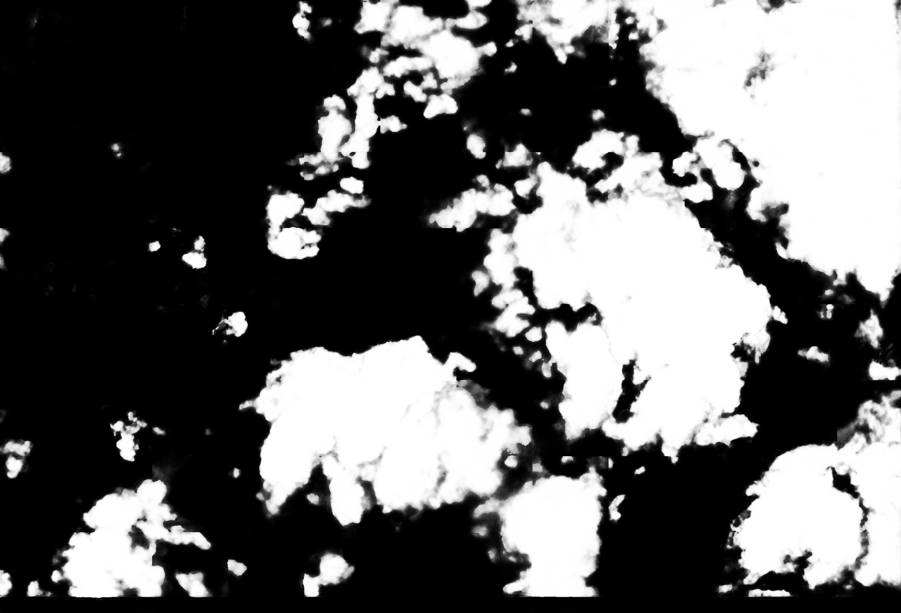 cloud mask image display 