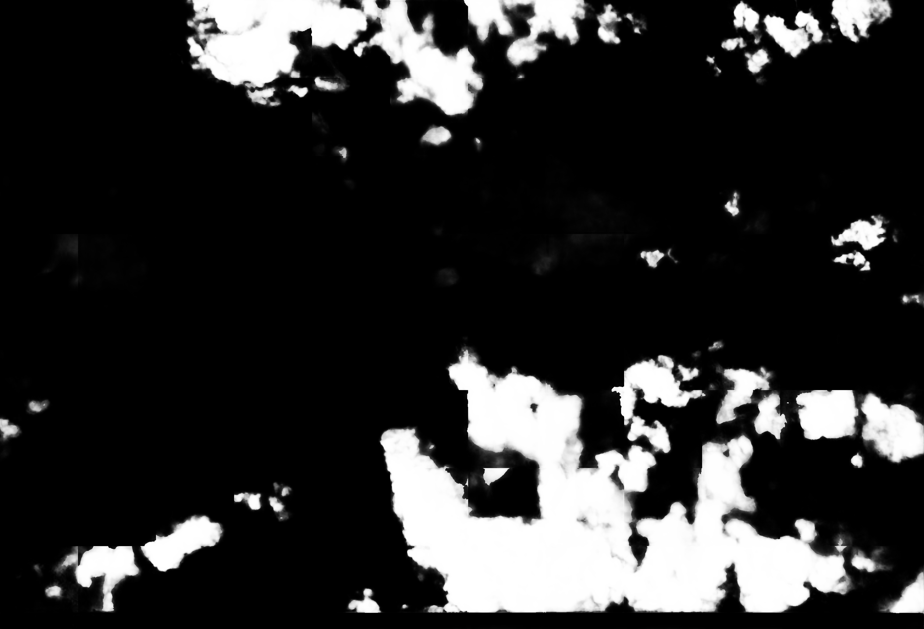 cloud mask image display 