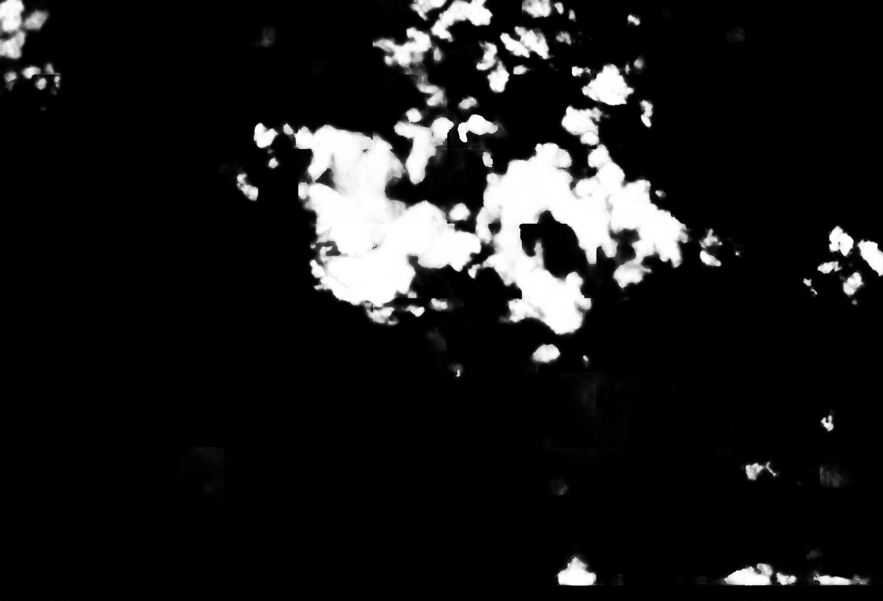 cloud mask image display 