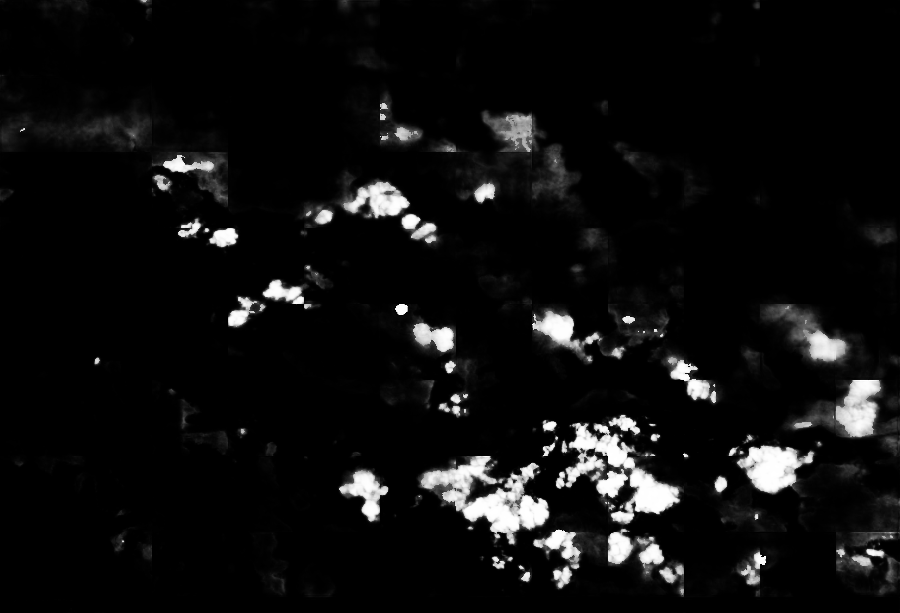 cloud mask image display 