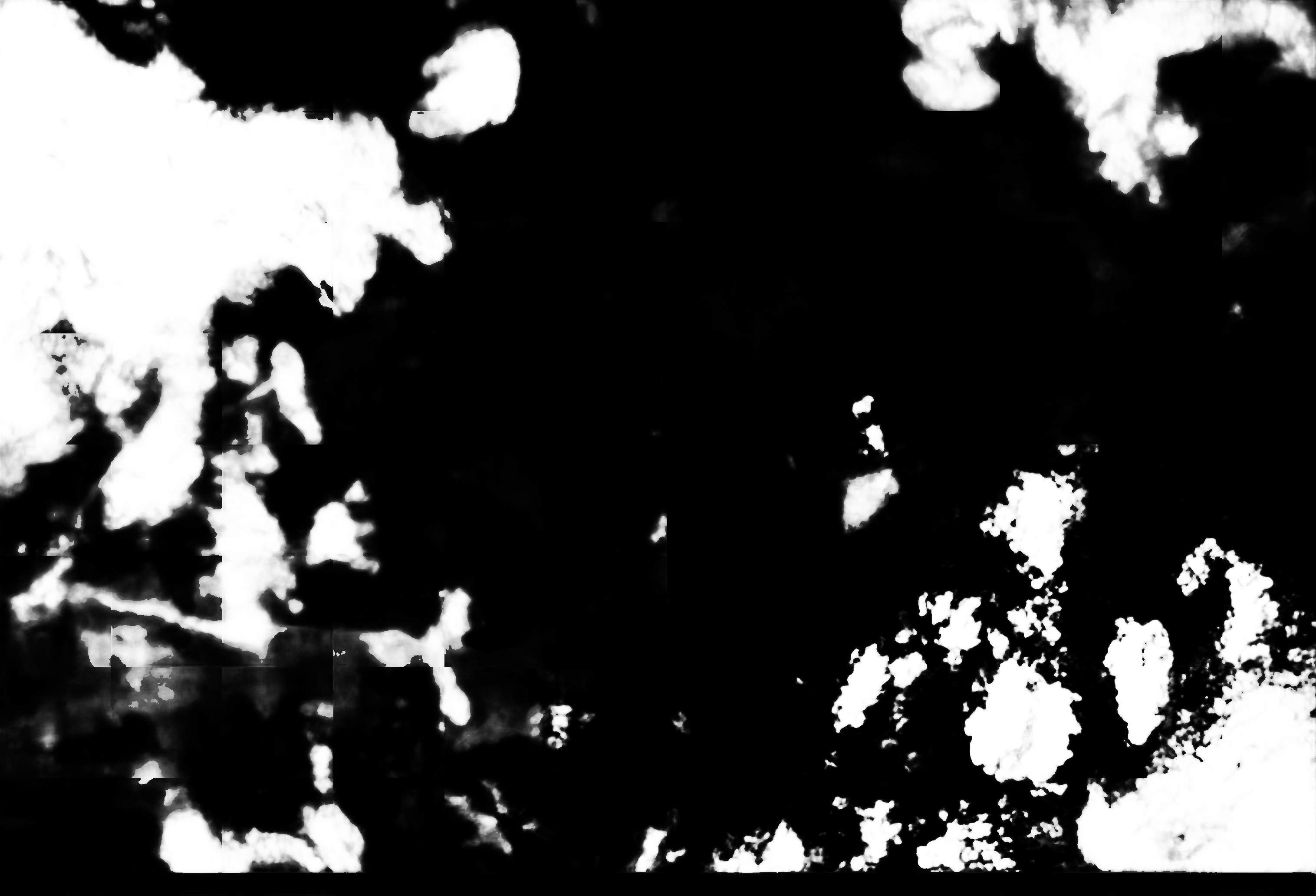 cloud mask image display 