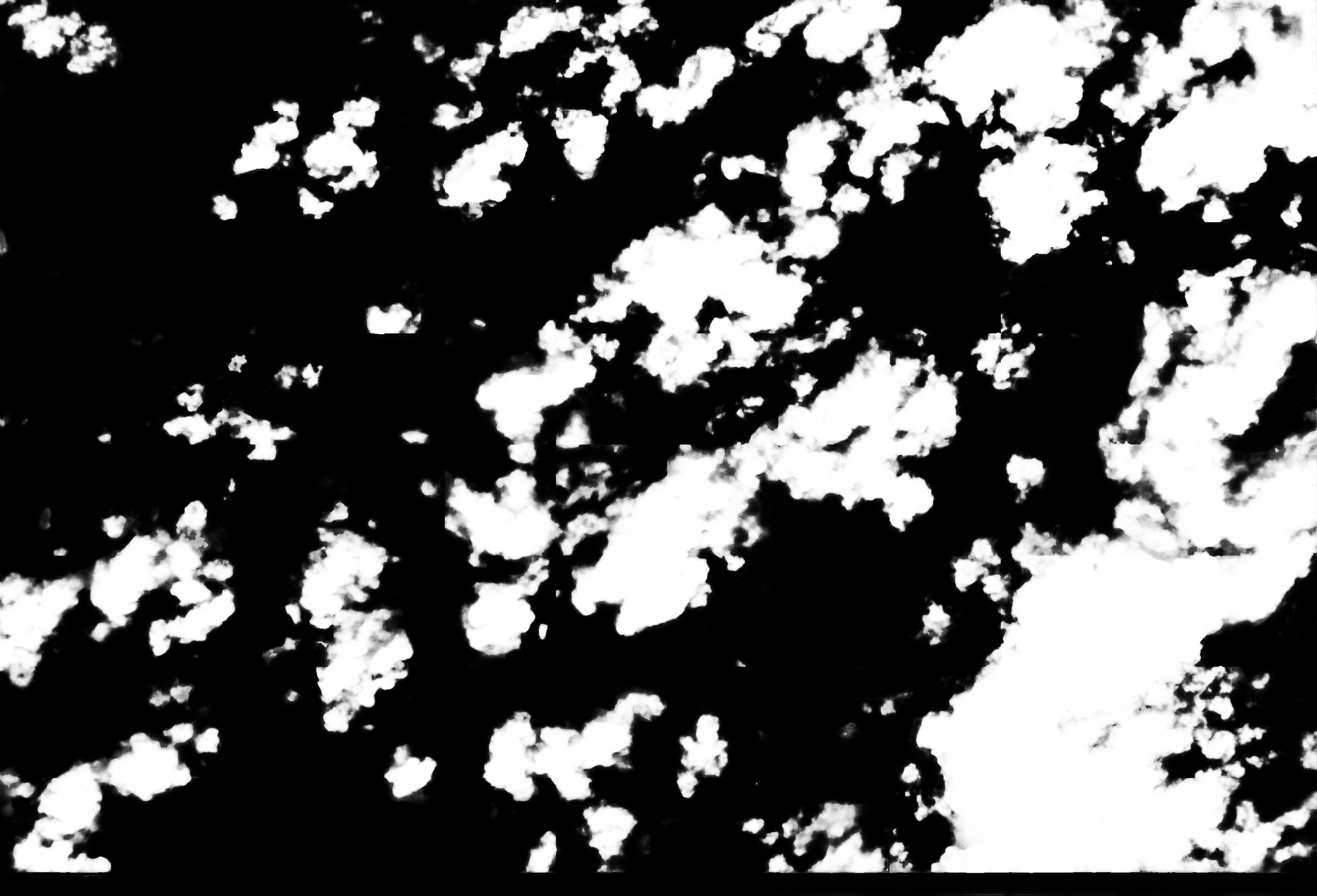 cloud mask image display 