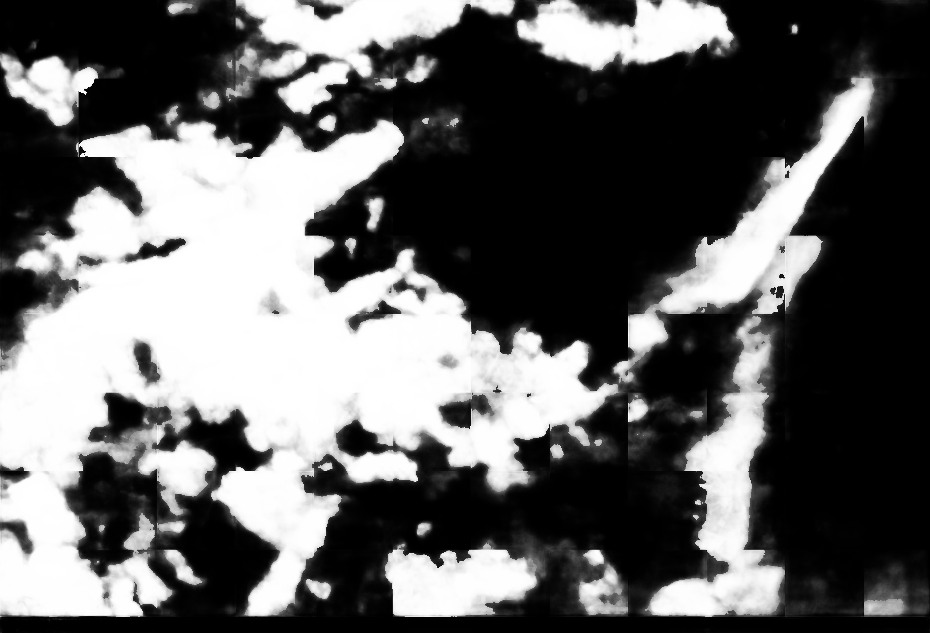 cloud mask image display 