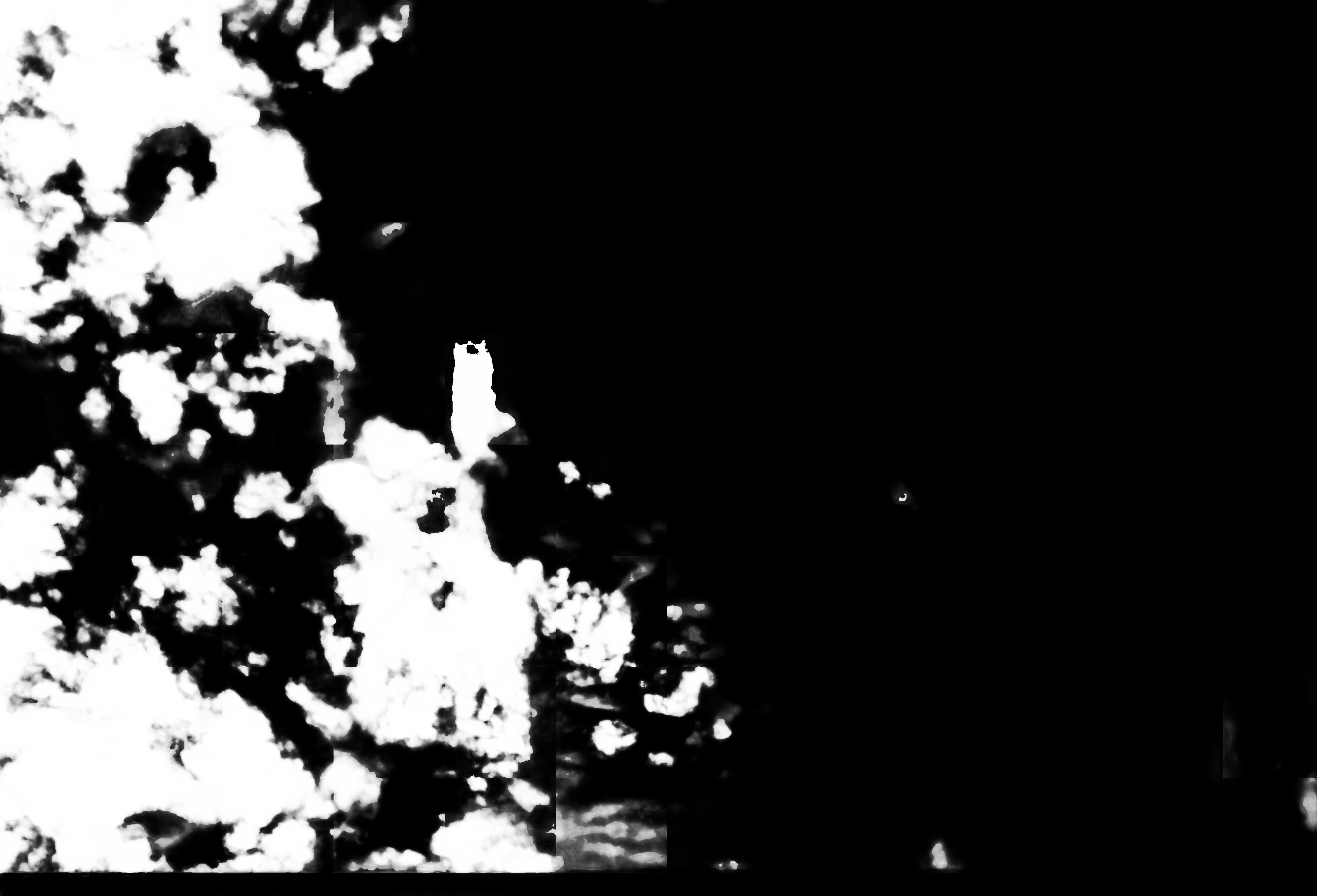 cloud mask image display 