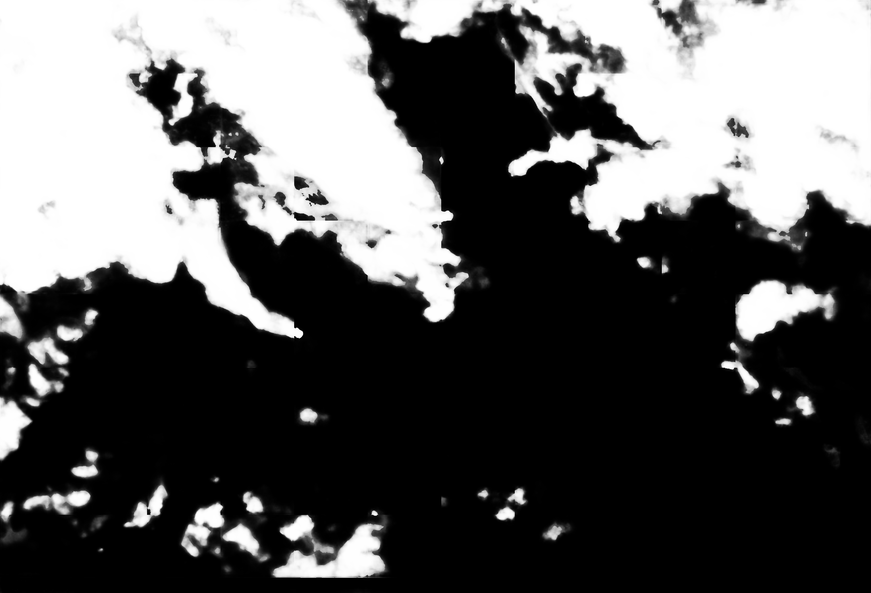 cloud mask image display 