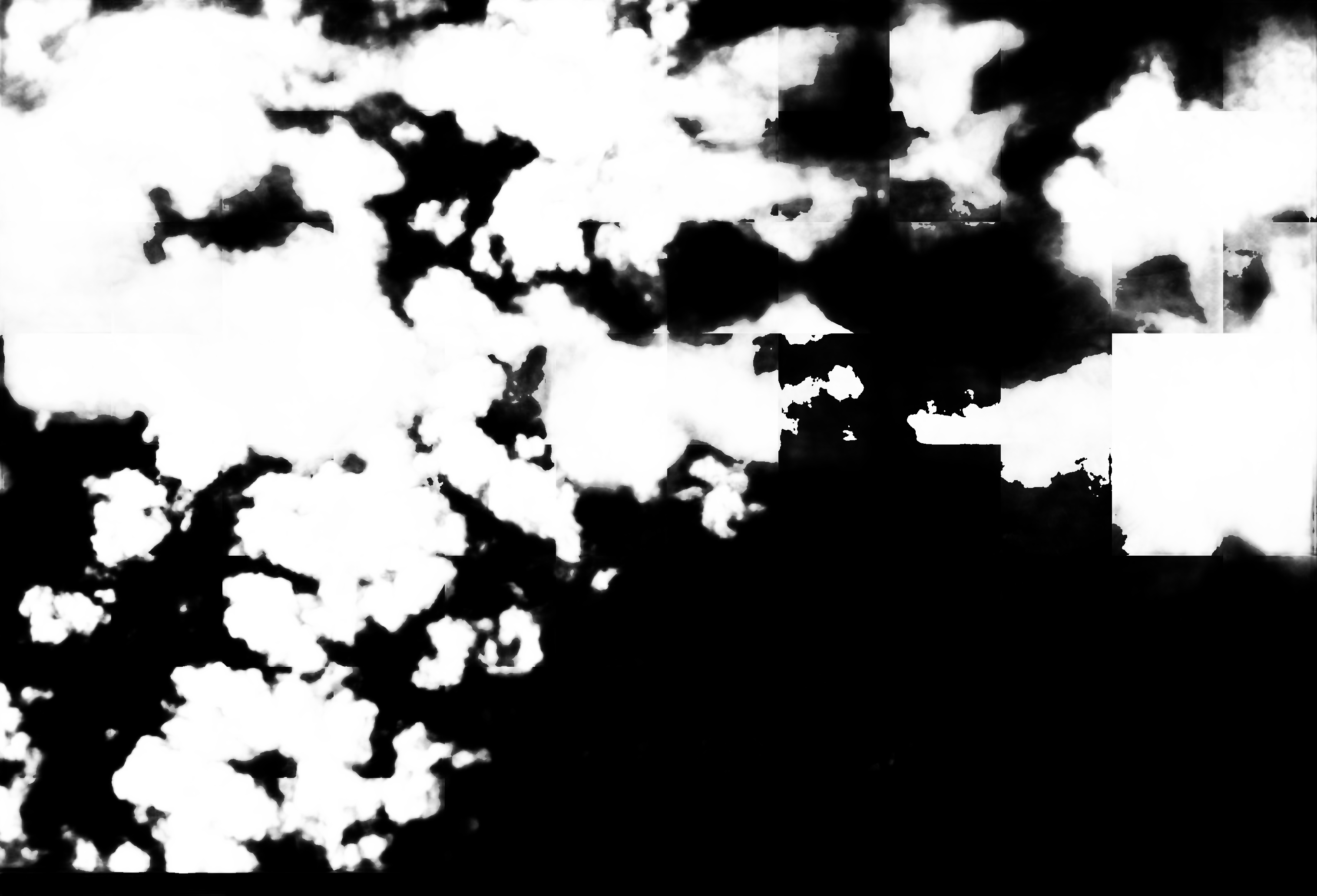 cloud mask image display 