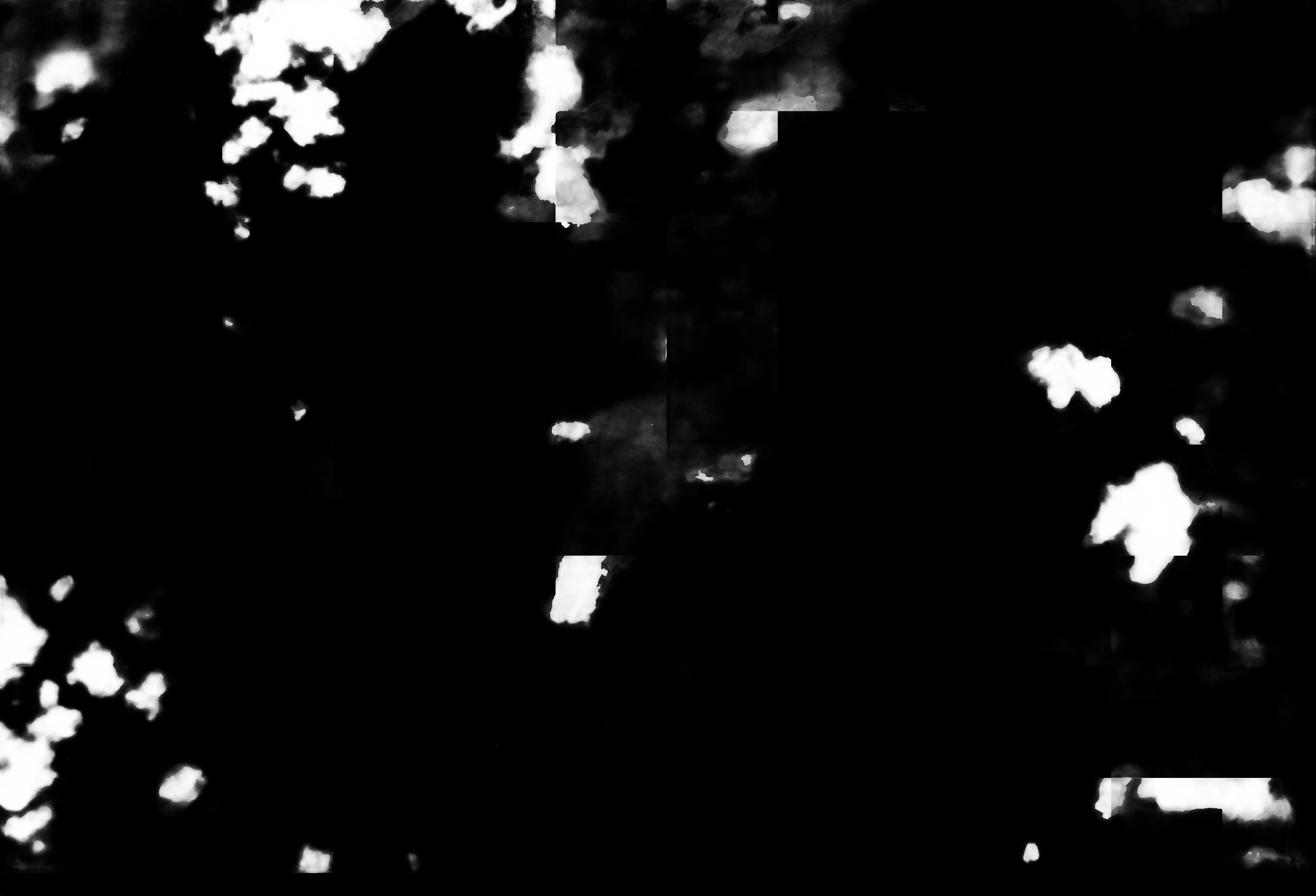 cloud mask image display 