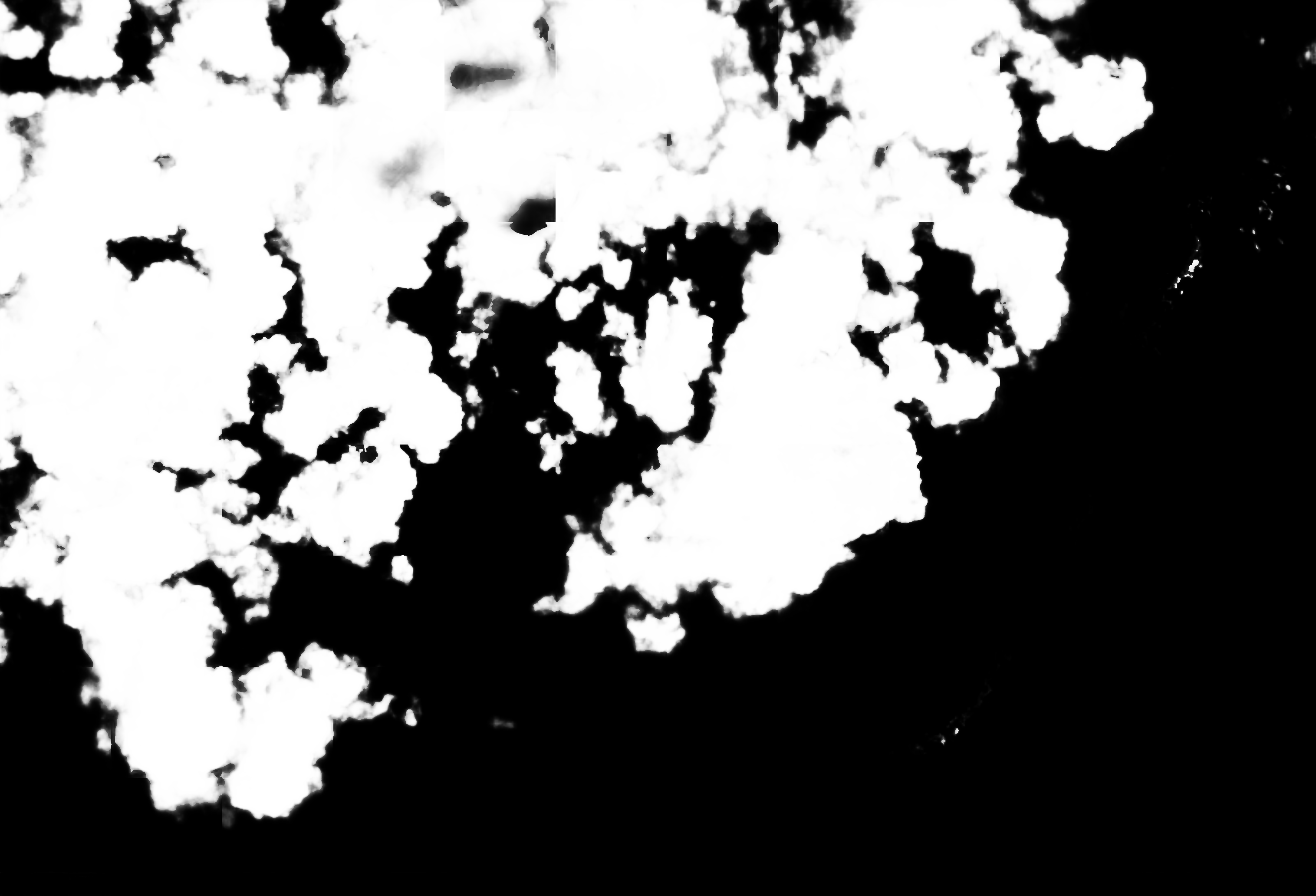 cloud mask image display 