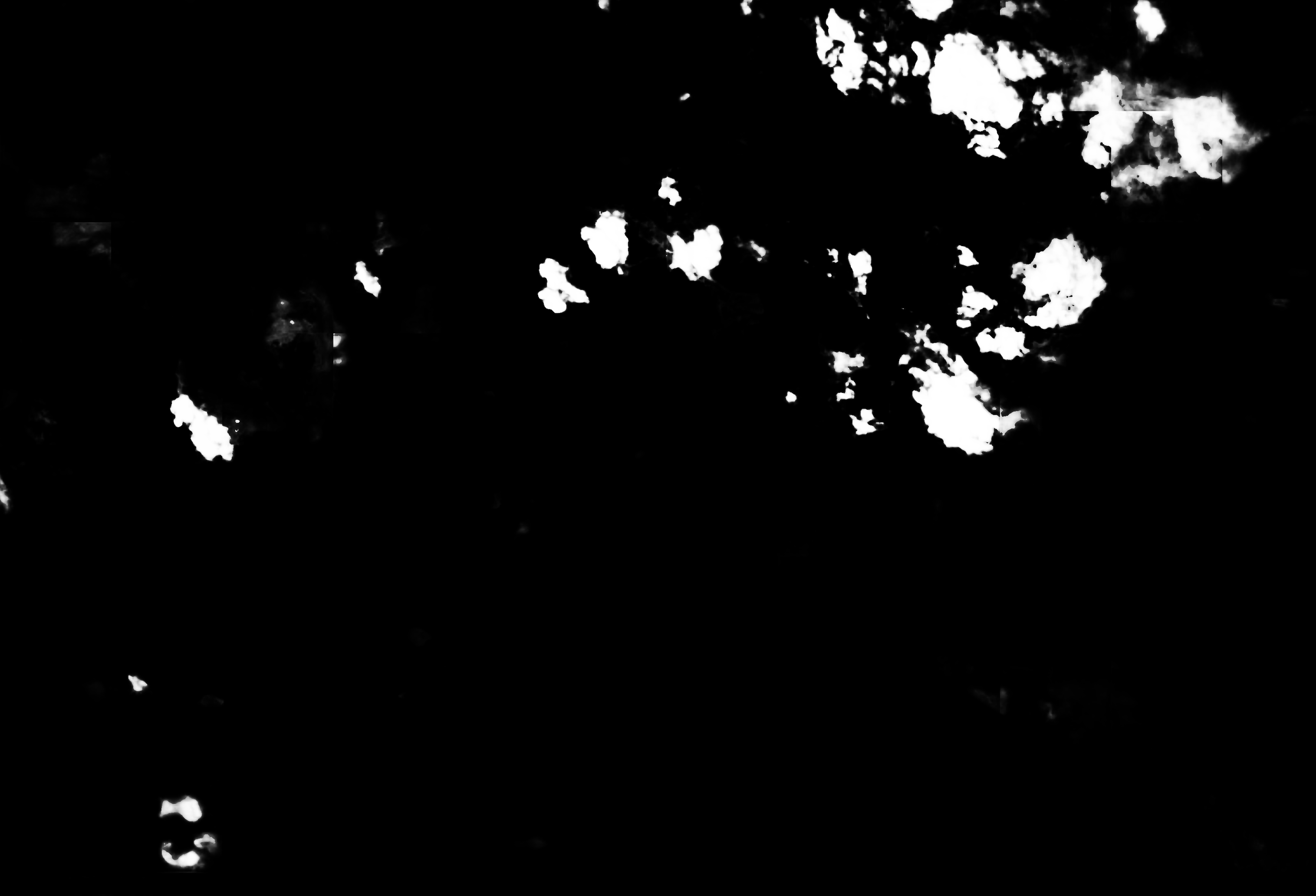 cloud mask image display 