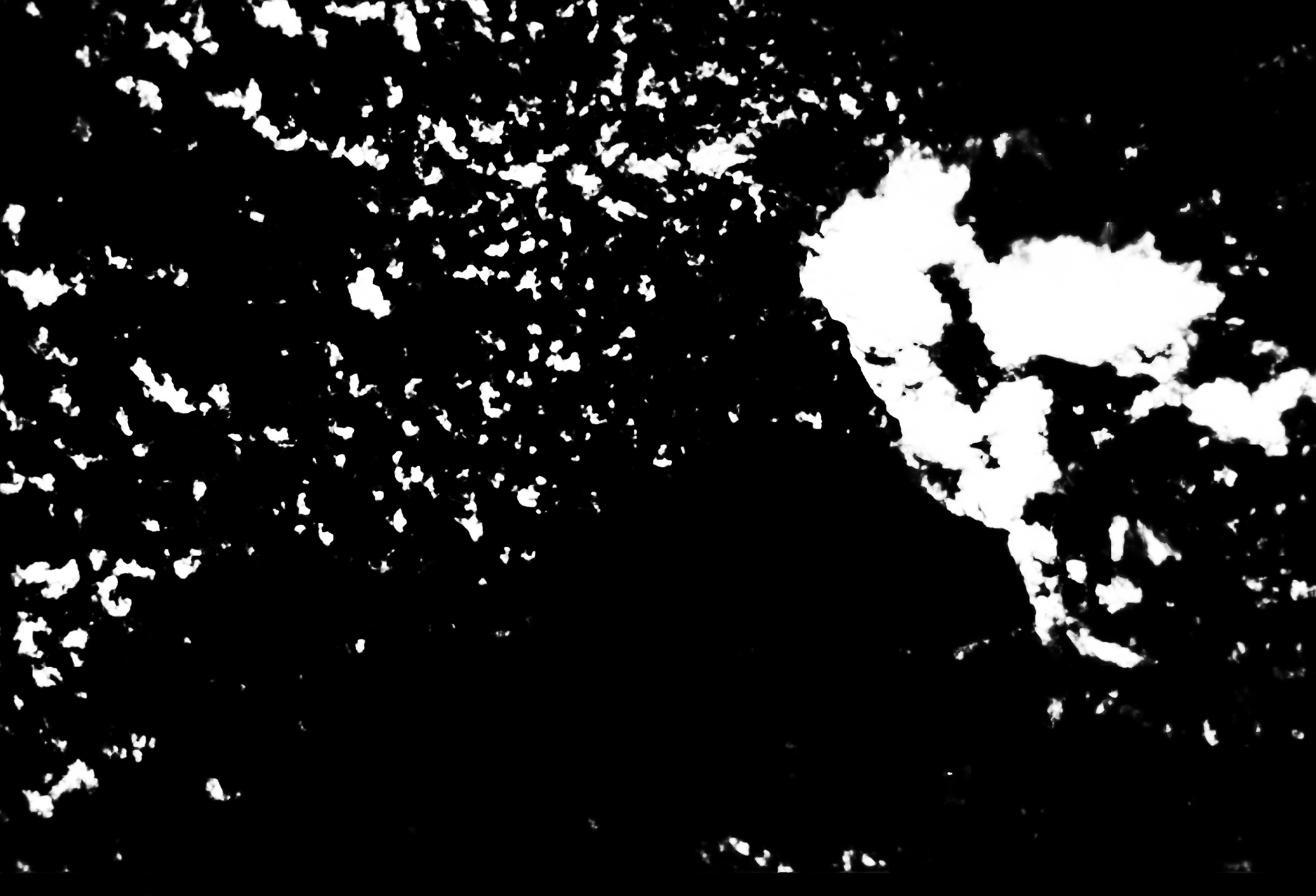 cloud mask image display 