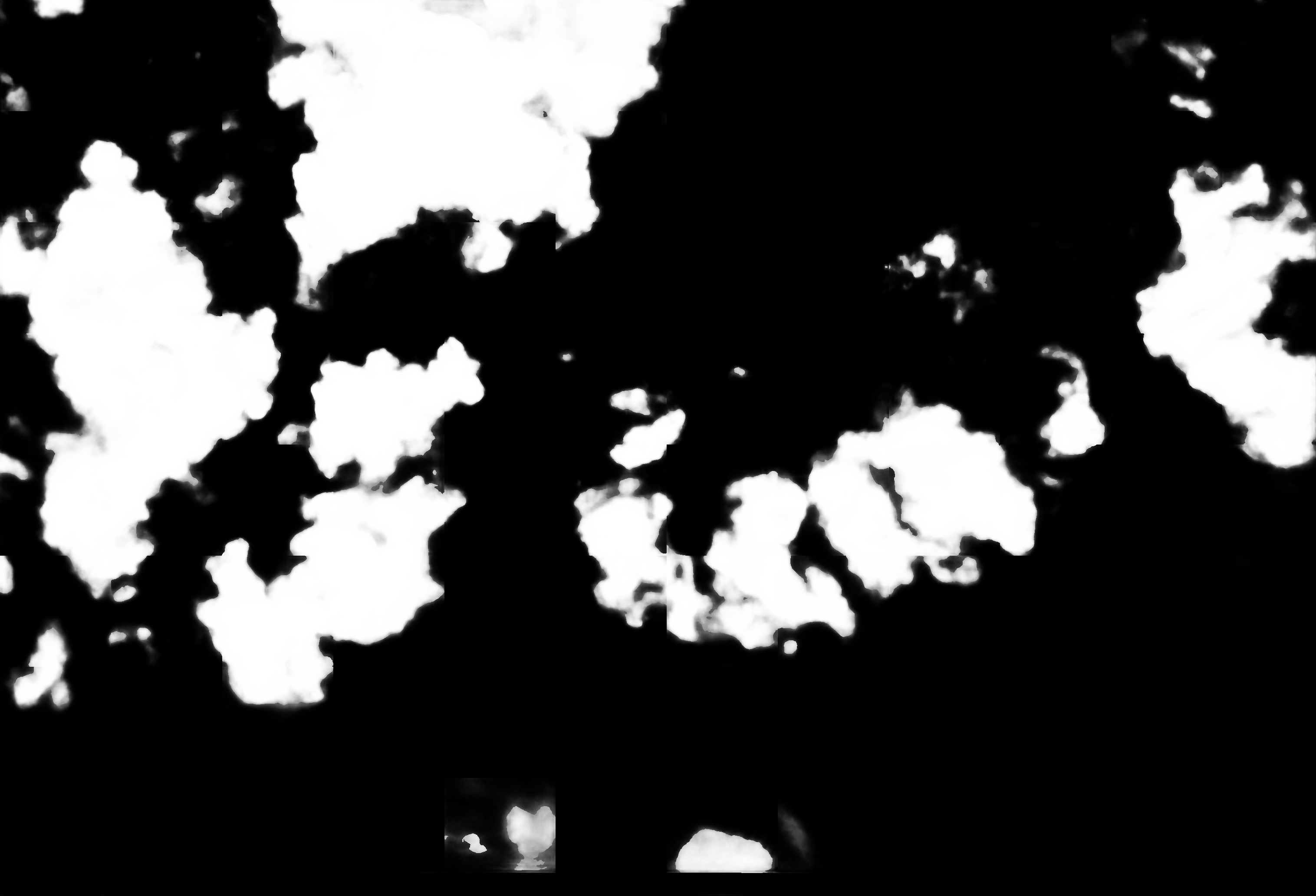 cloud mask image display 