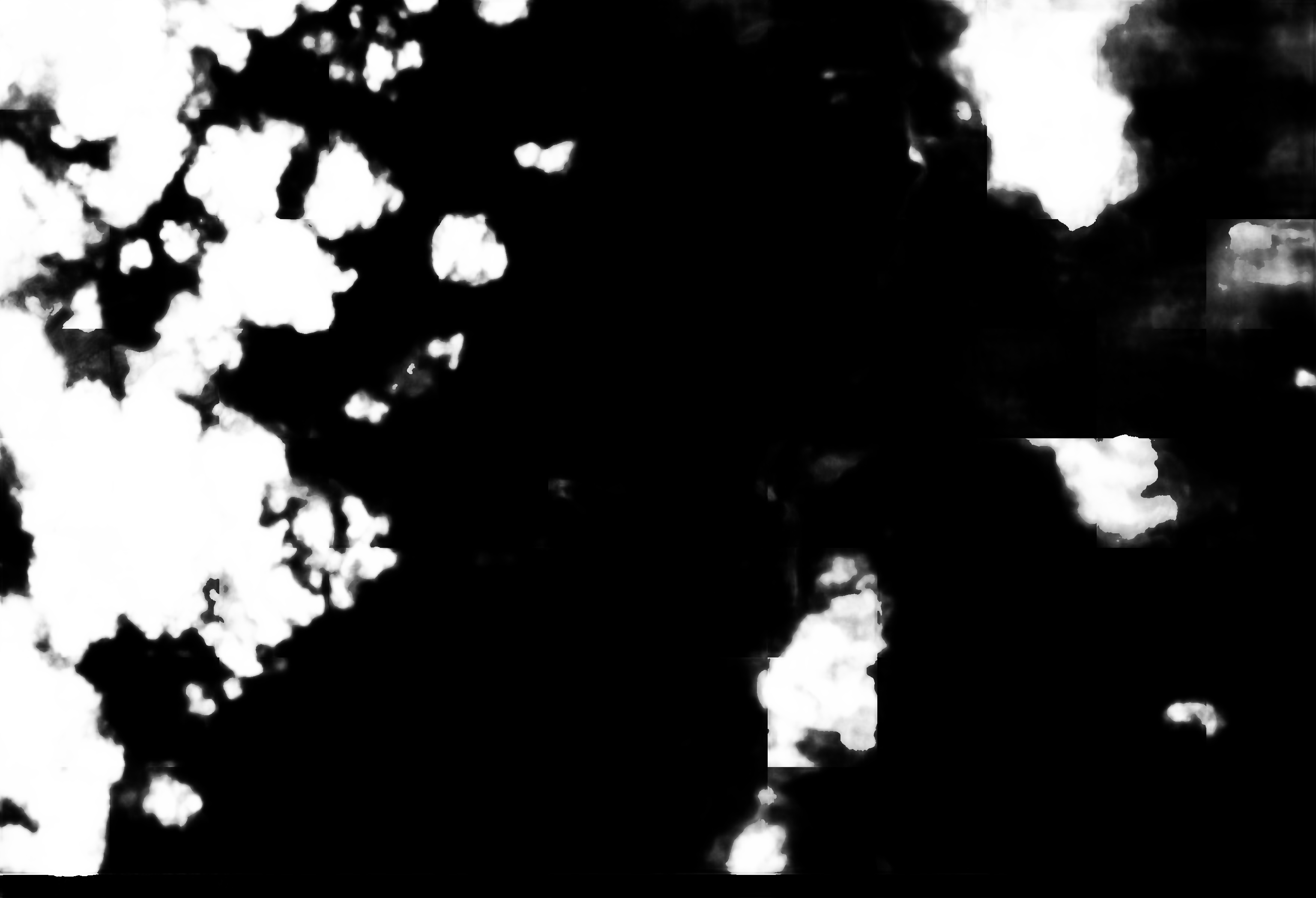 cloud mask image display 