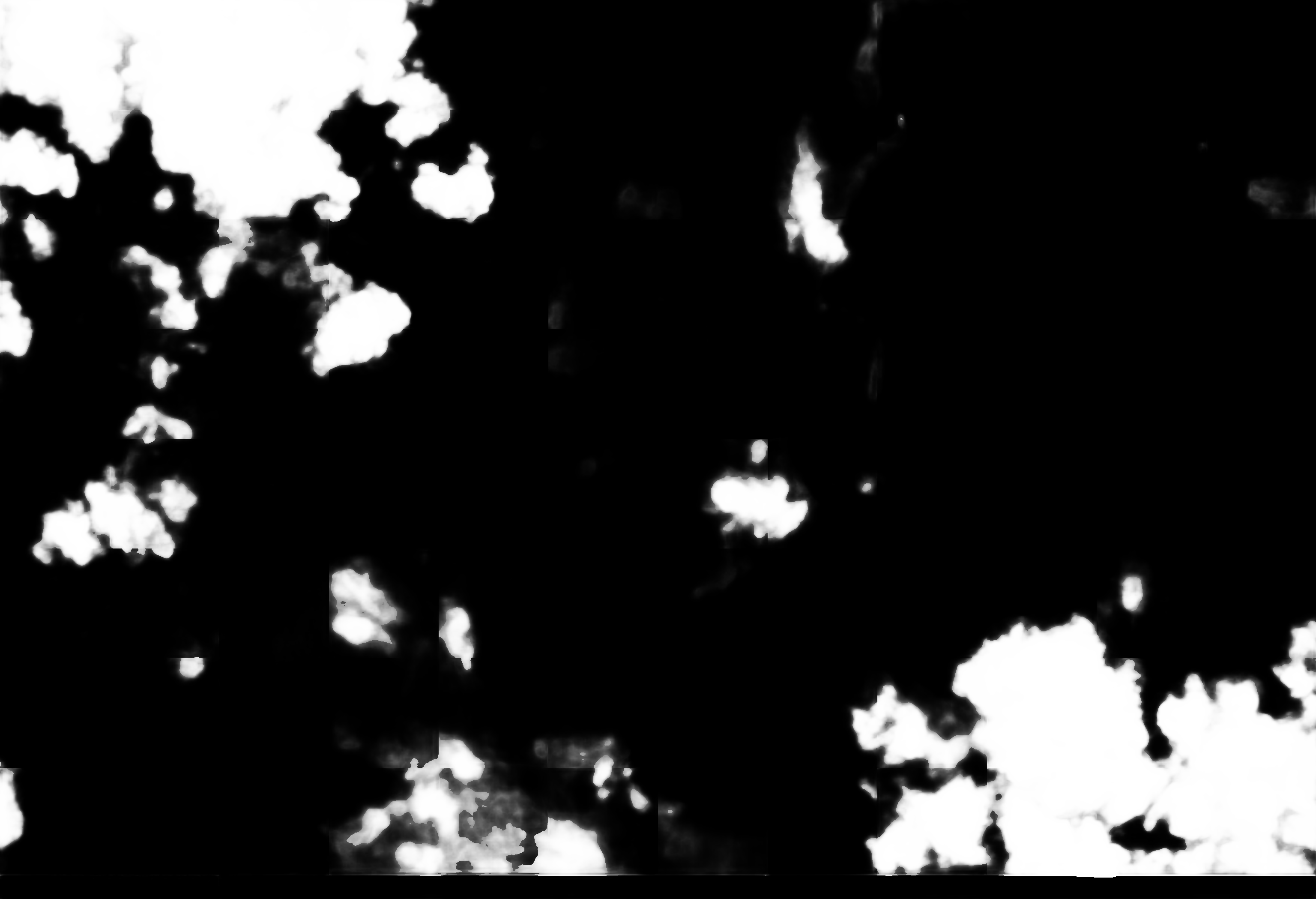 cloud mask image display 