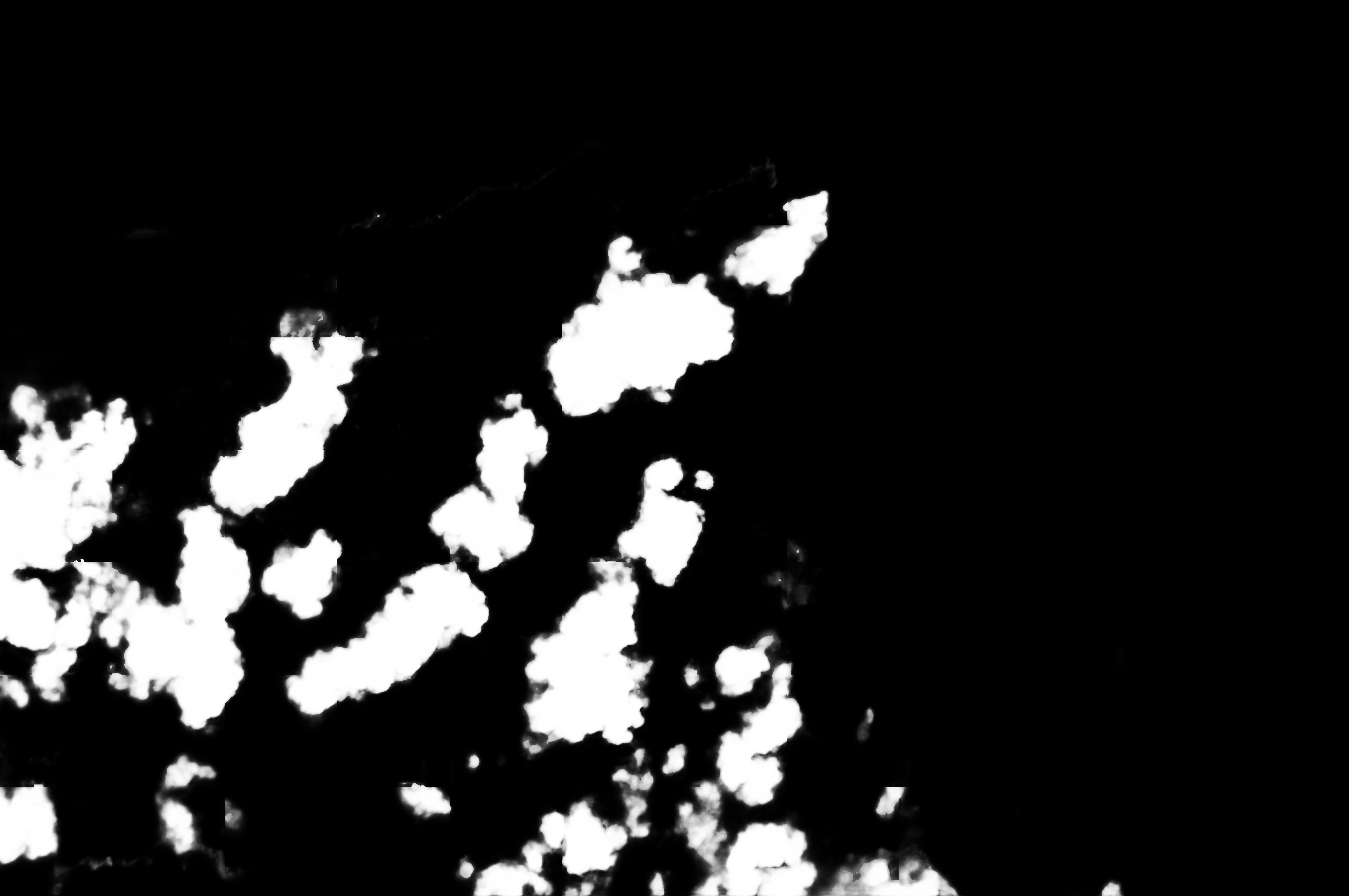 cloud mask image display 