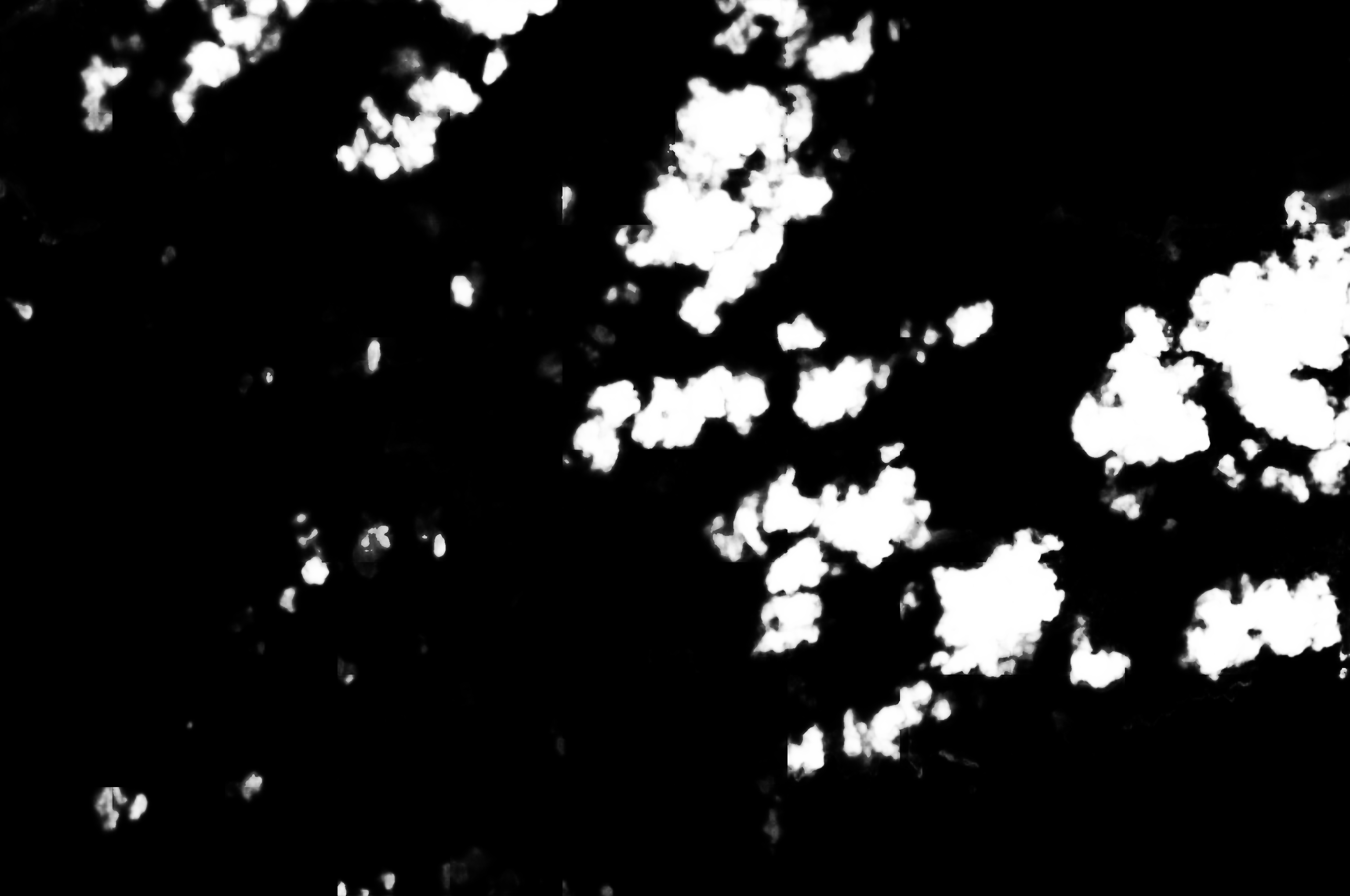 cloud mask image display 