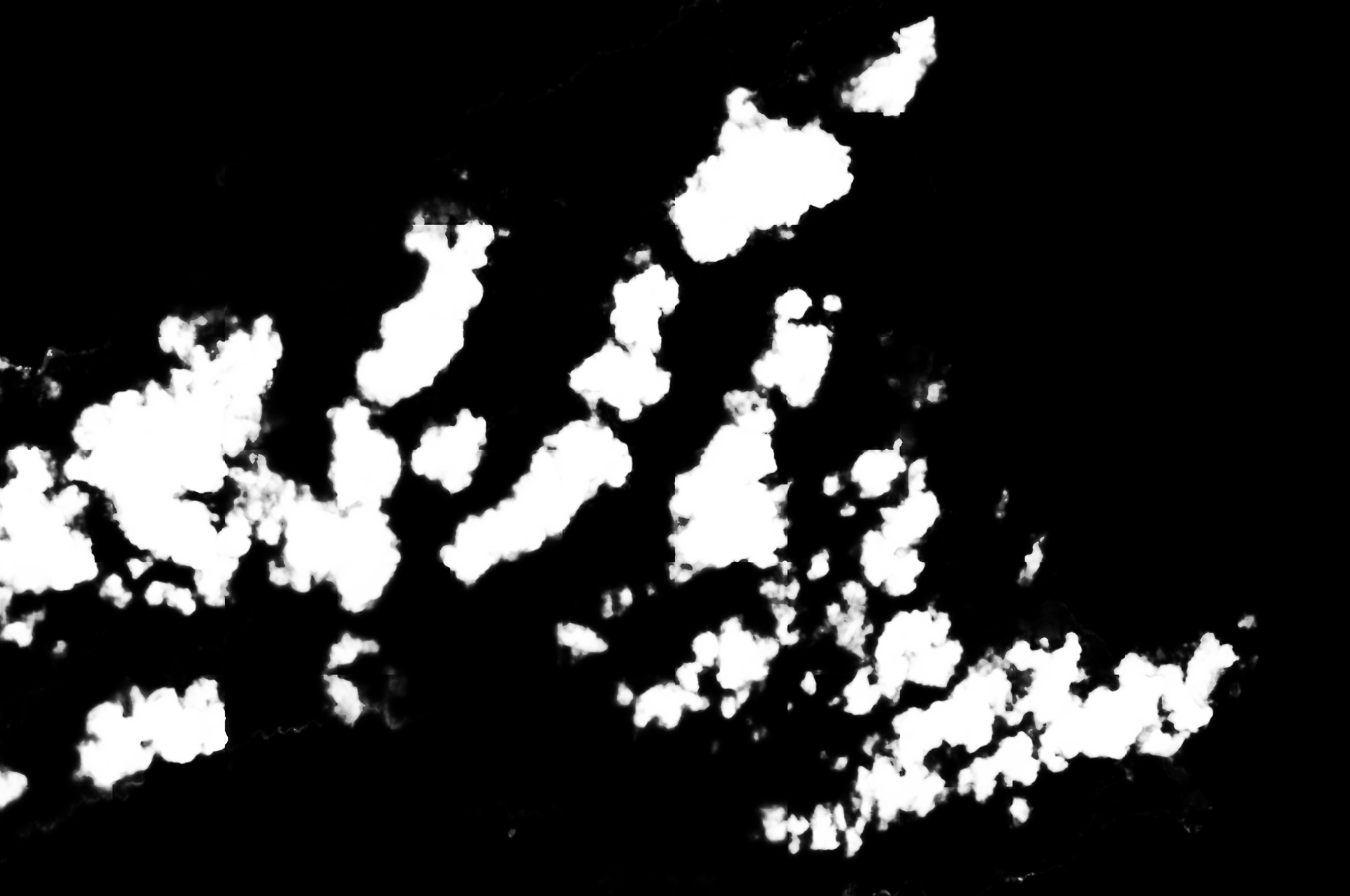 cloud mask image display 