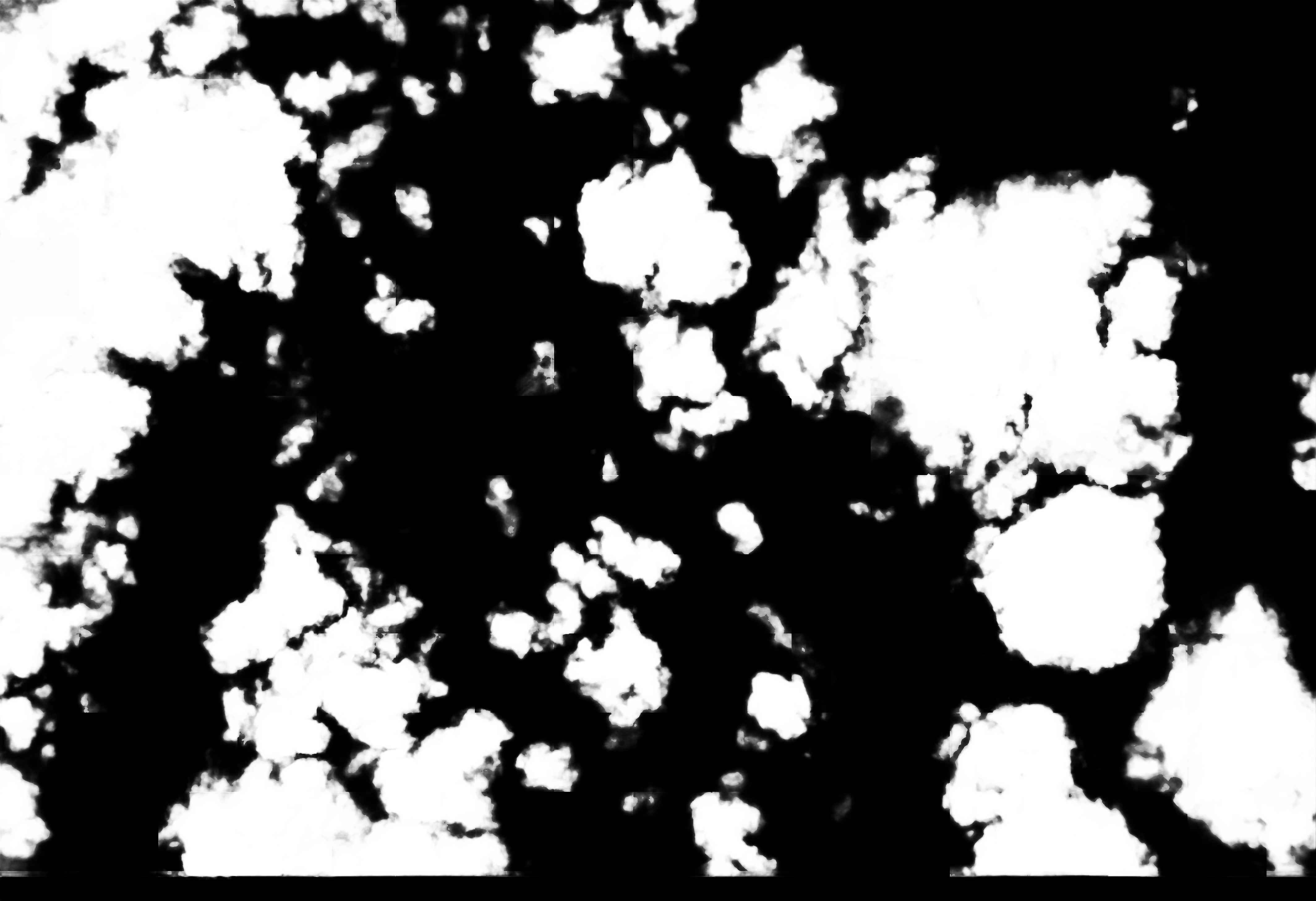 cloud mask image display 