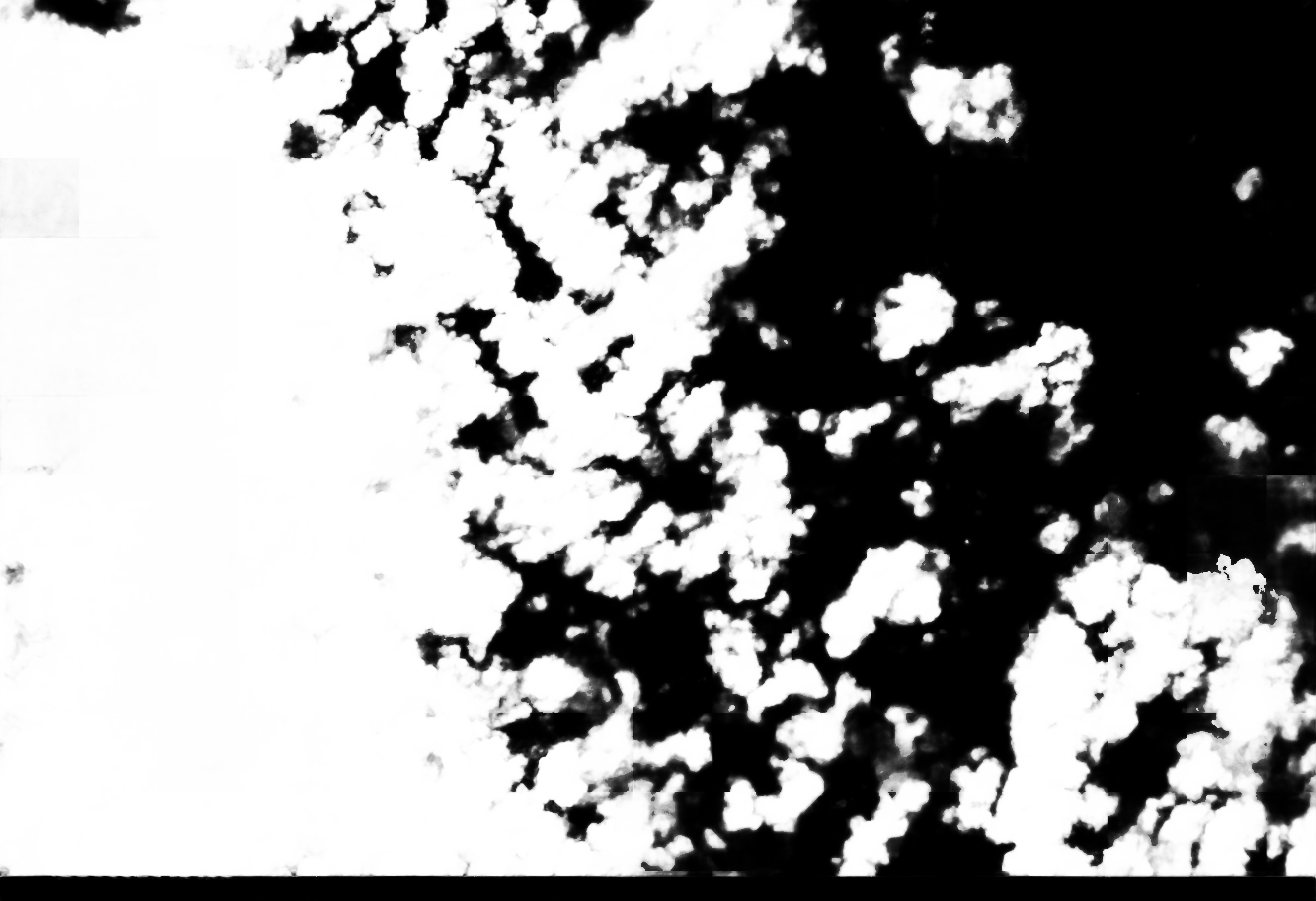 cloud mask image display 