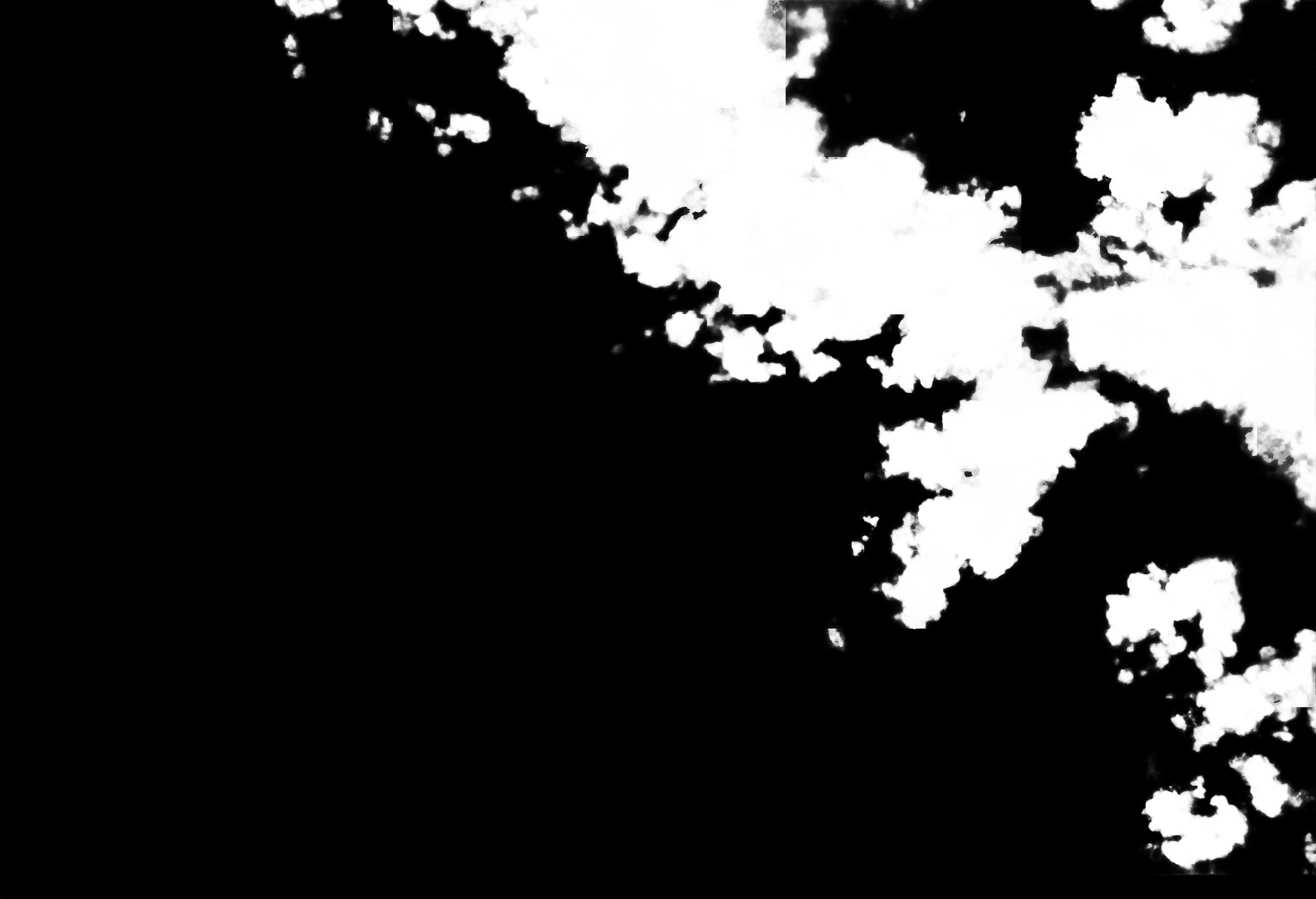 cloud mask image display 