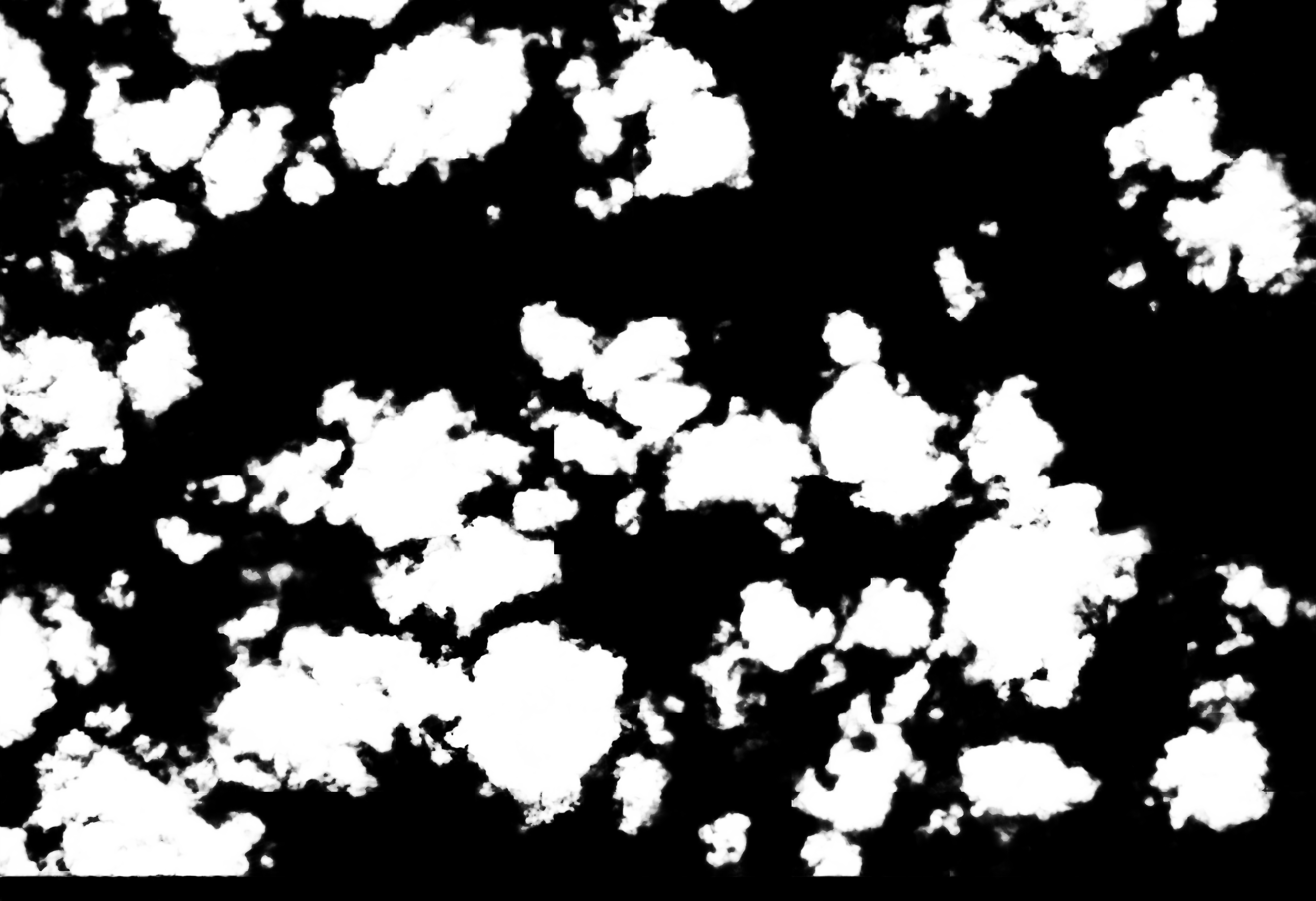 cloud mask image display 